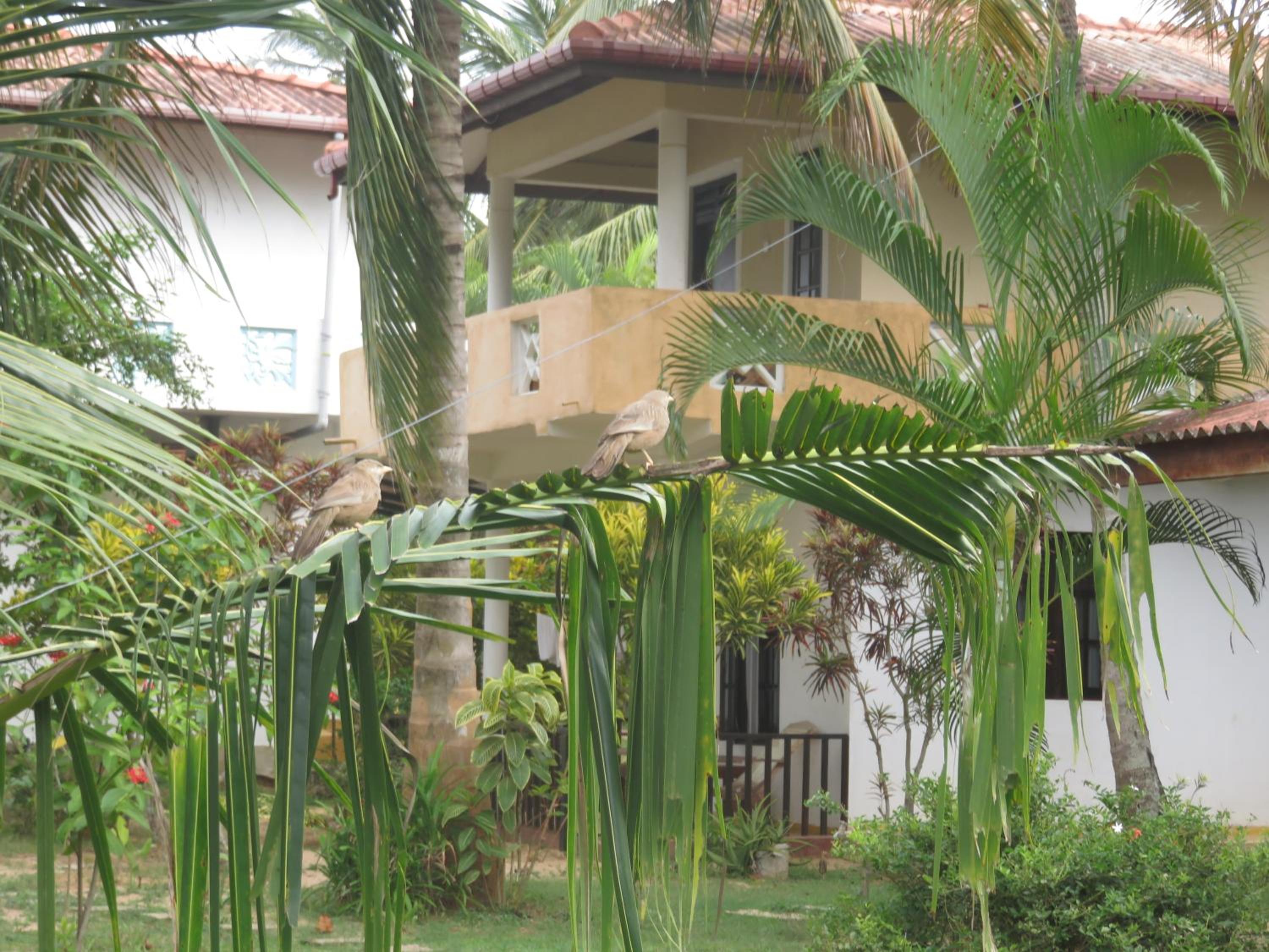 Beach Lagoon Guesthouse
