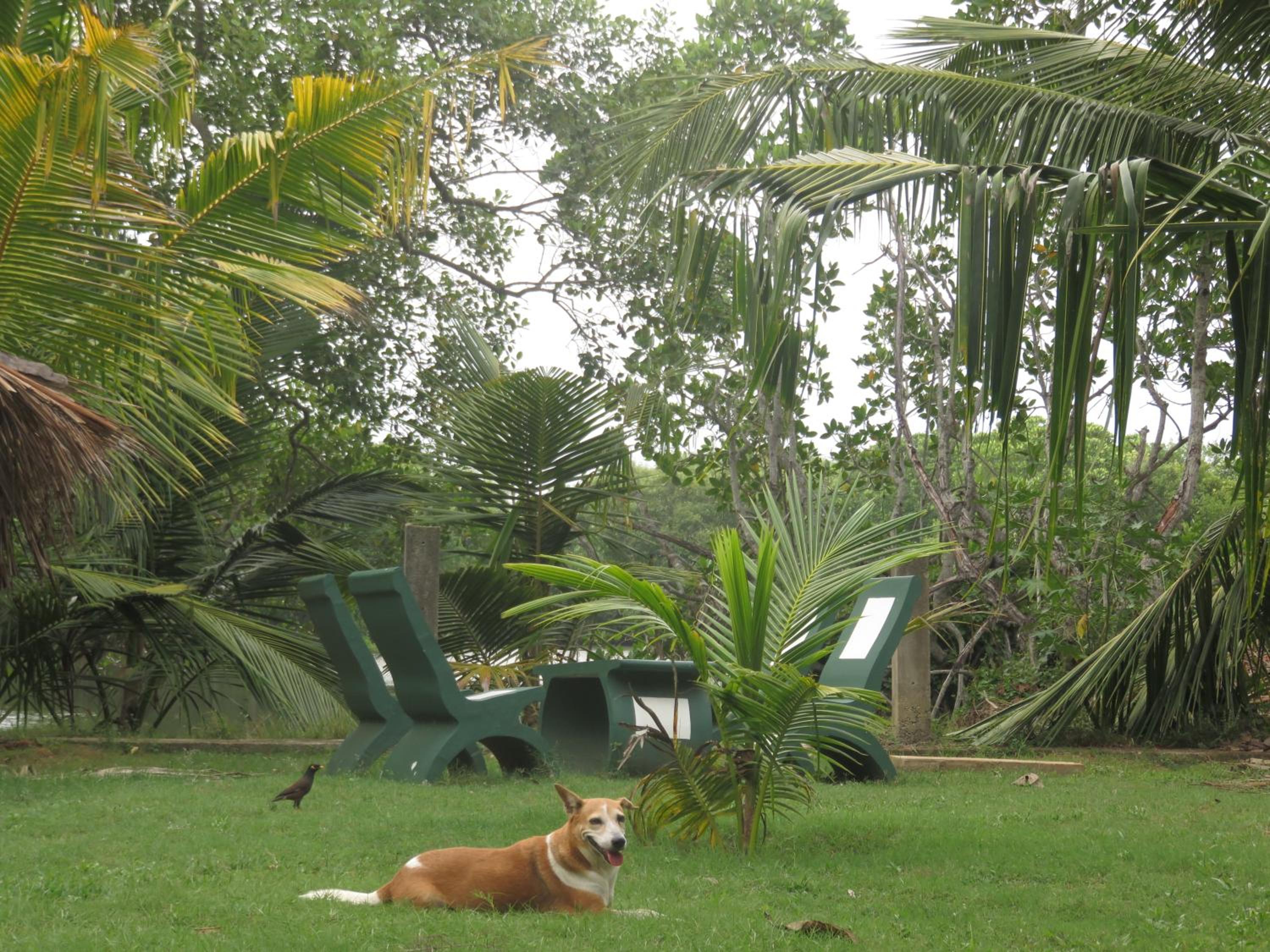 Beach Lagoon Guesthouse