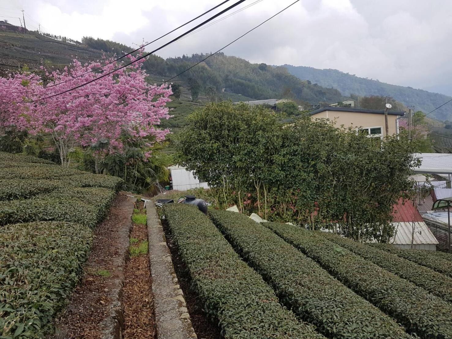 Ming Yang B&B