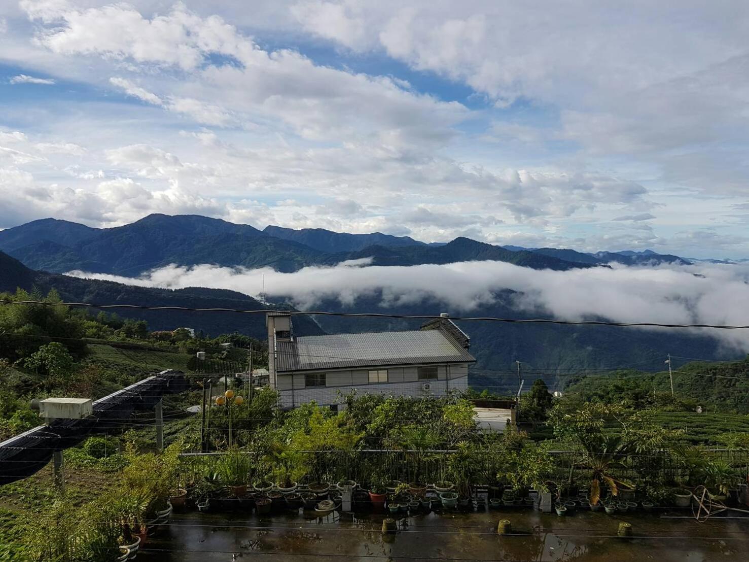Ming Yang B&B