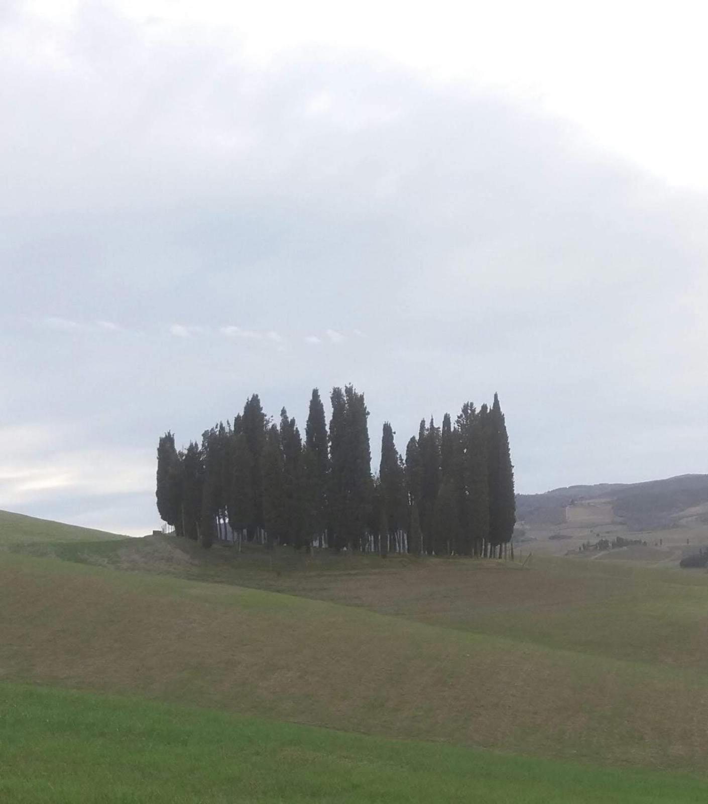 Photo 100