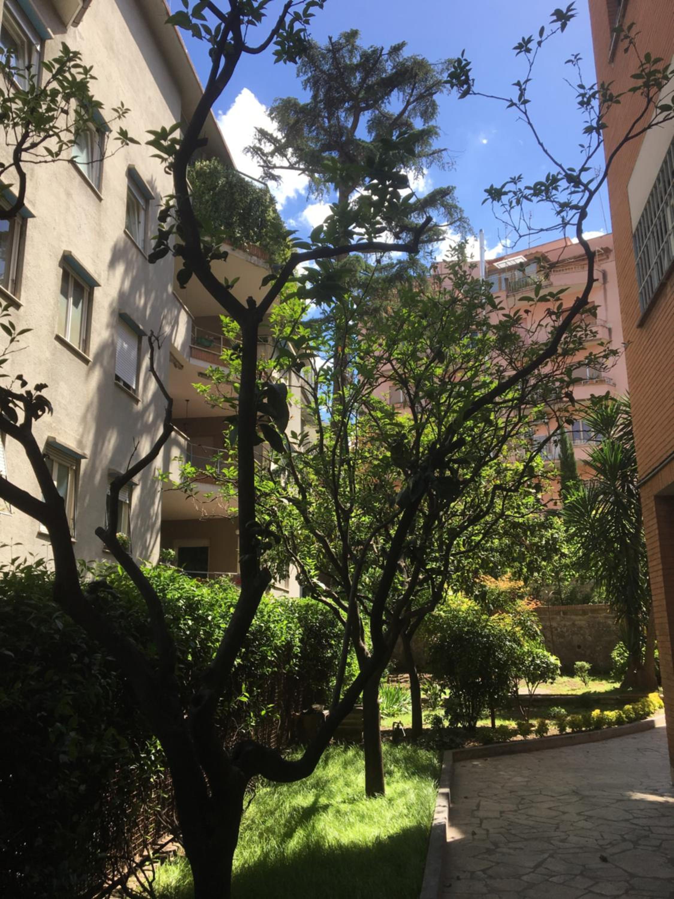 GLI ARANCI Apartment