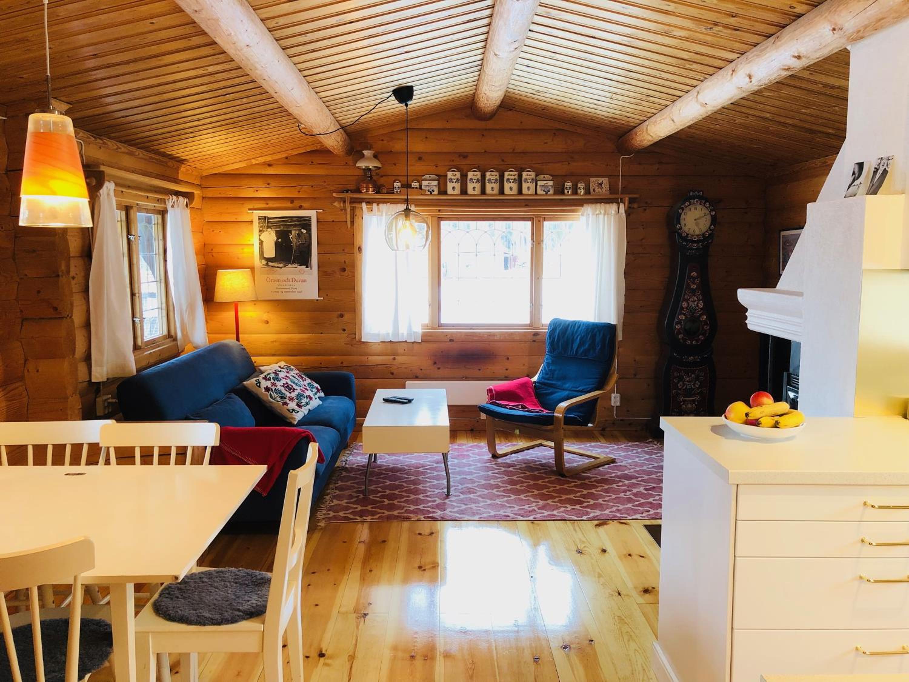 Vasa Ski Lodge view 3
