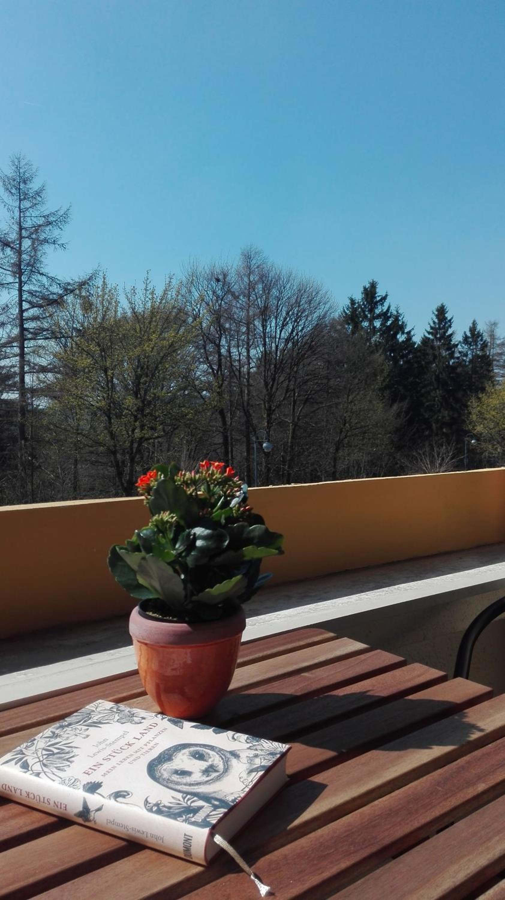 Familien Ferienwohnung Harzer Schöllchen view 3