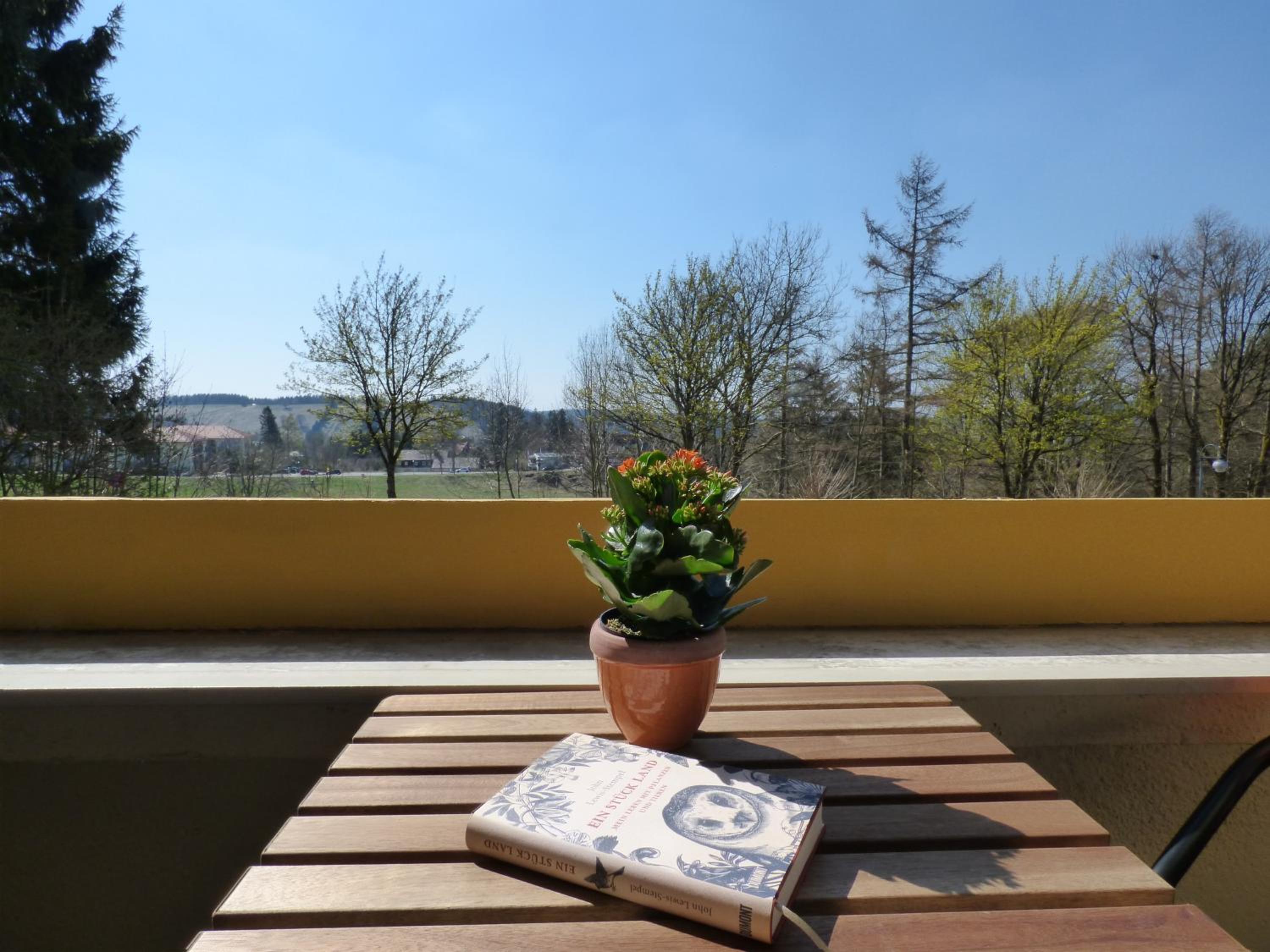 Familien Ferienwohnung Harzer Schöllchen view 5
