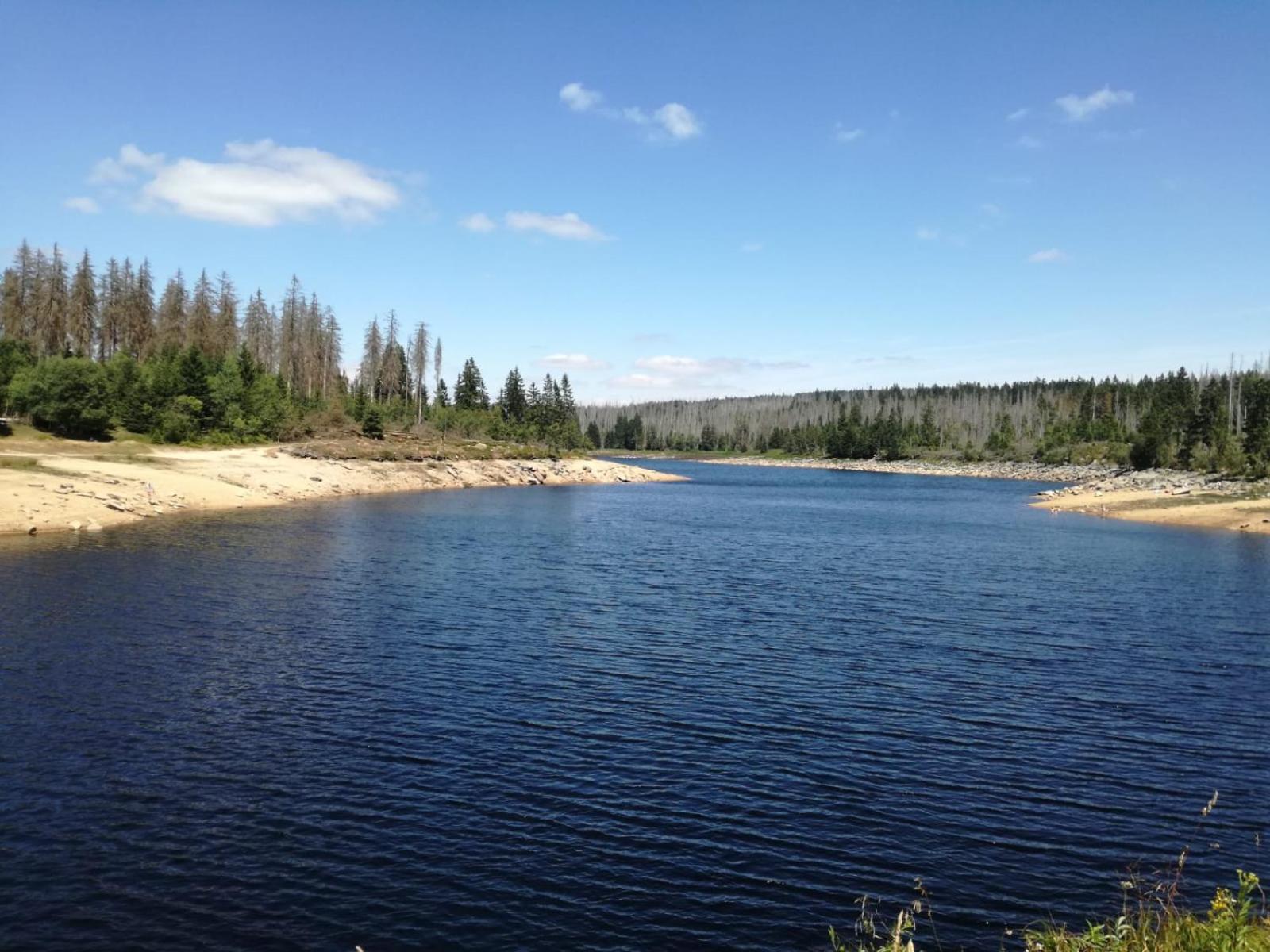 Photo 39