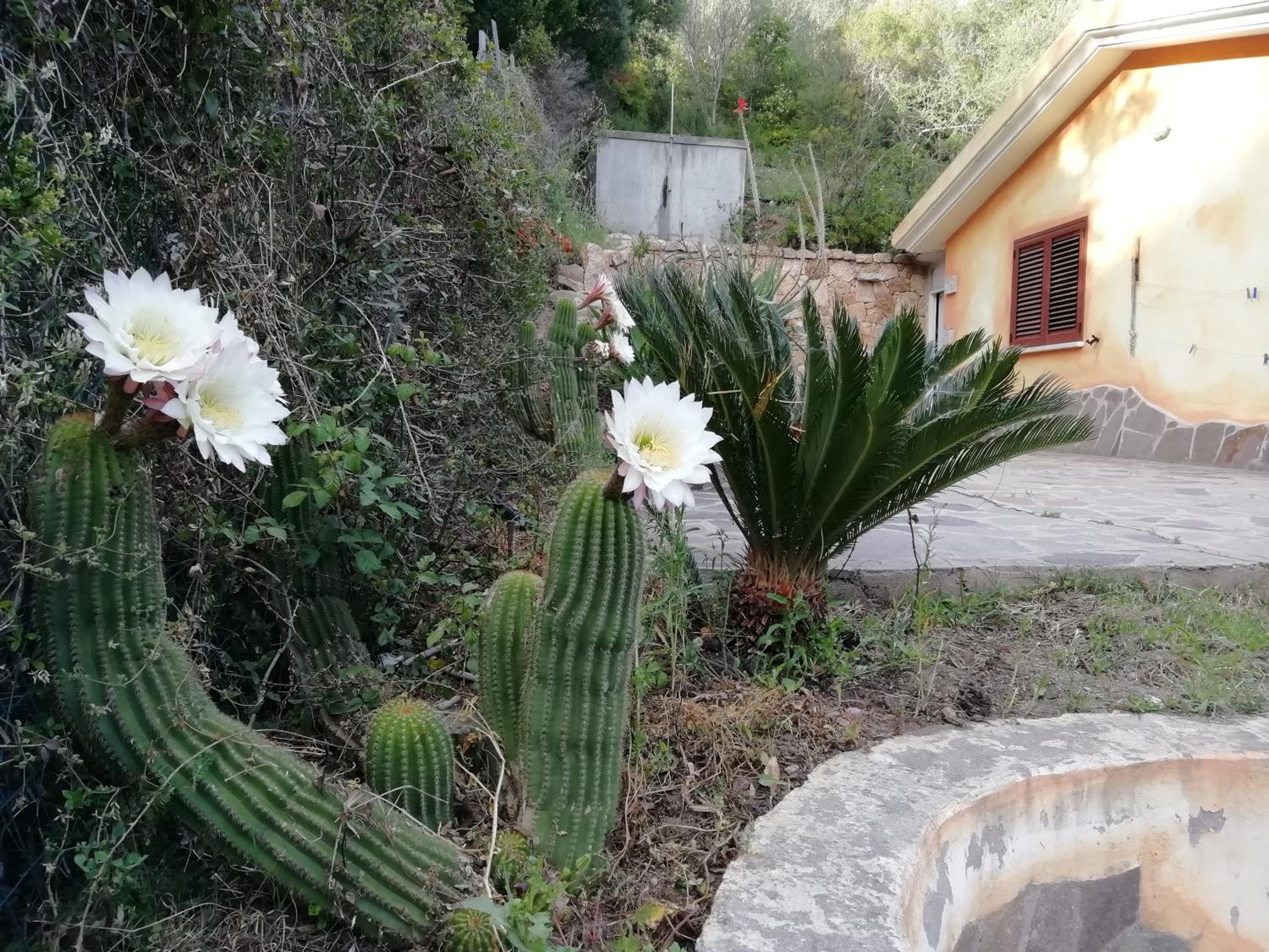 In campagna da Nino