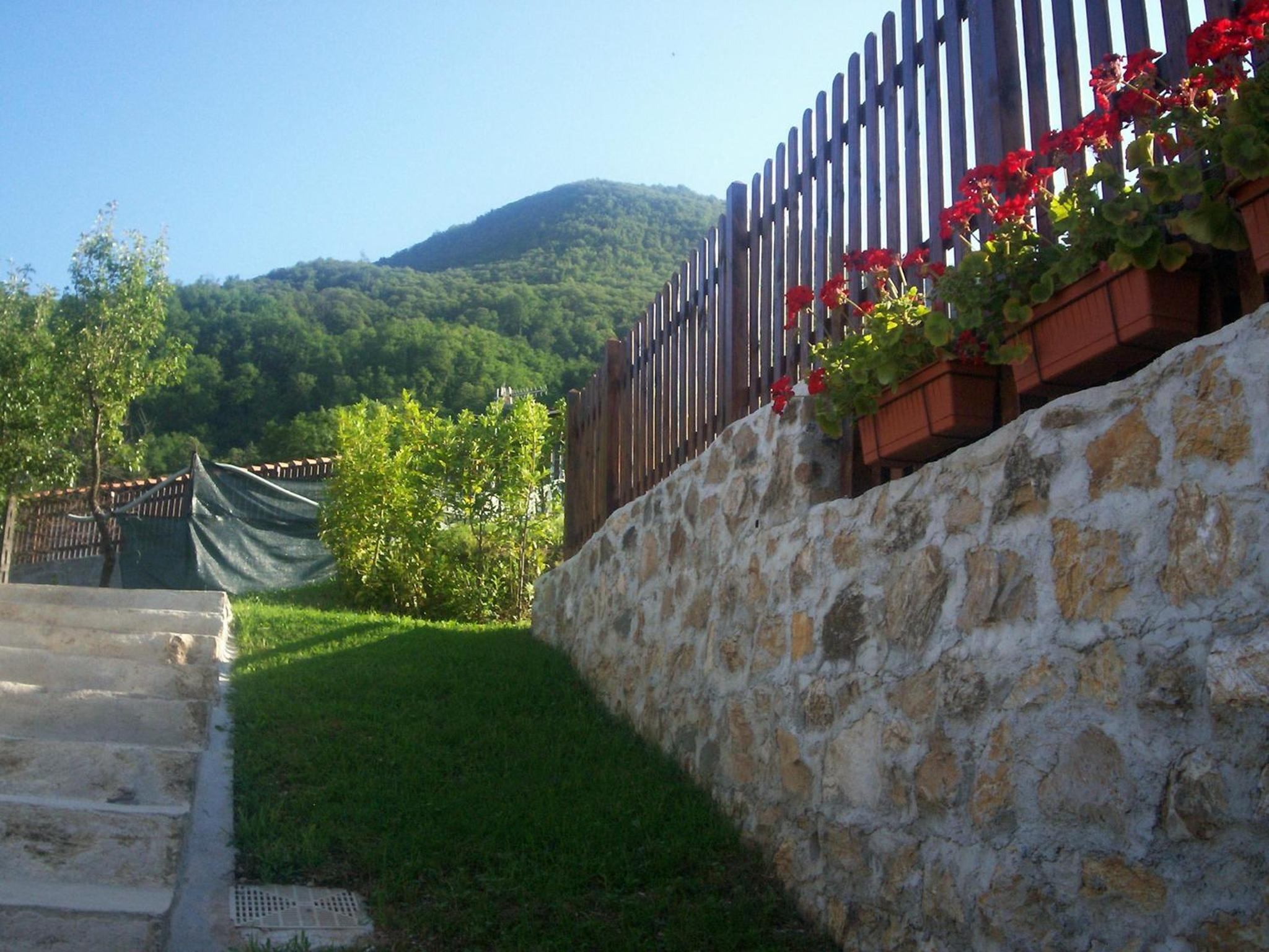 Photo 30
