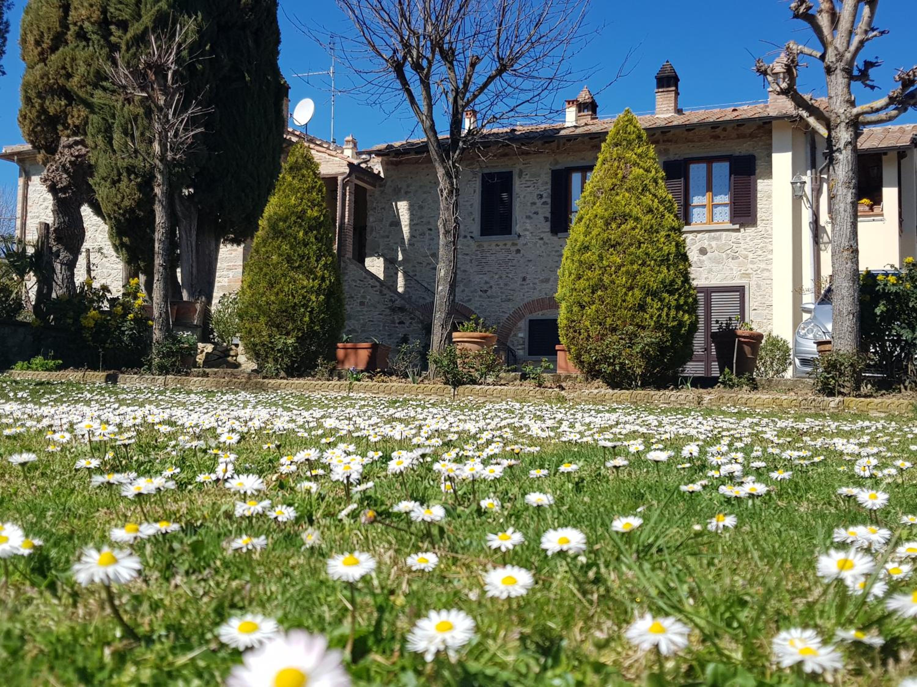 Podere Buriano view 3