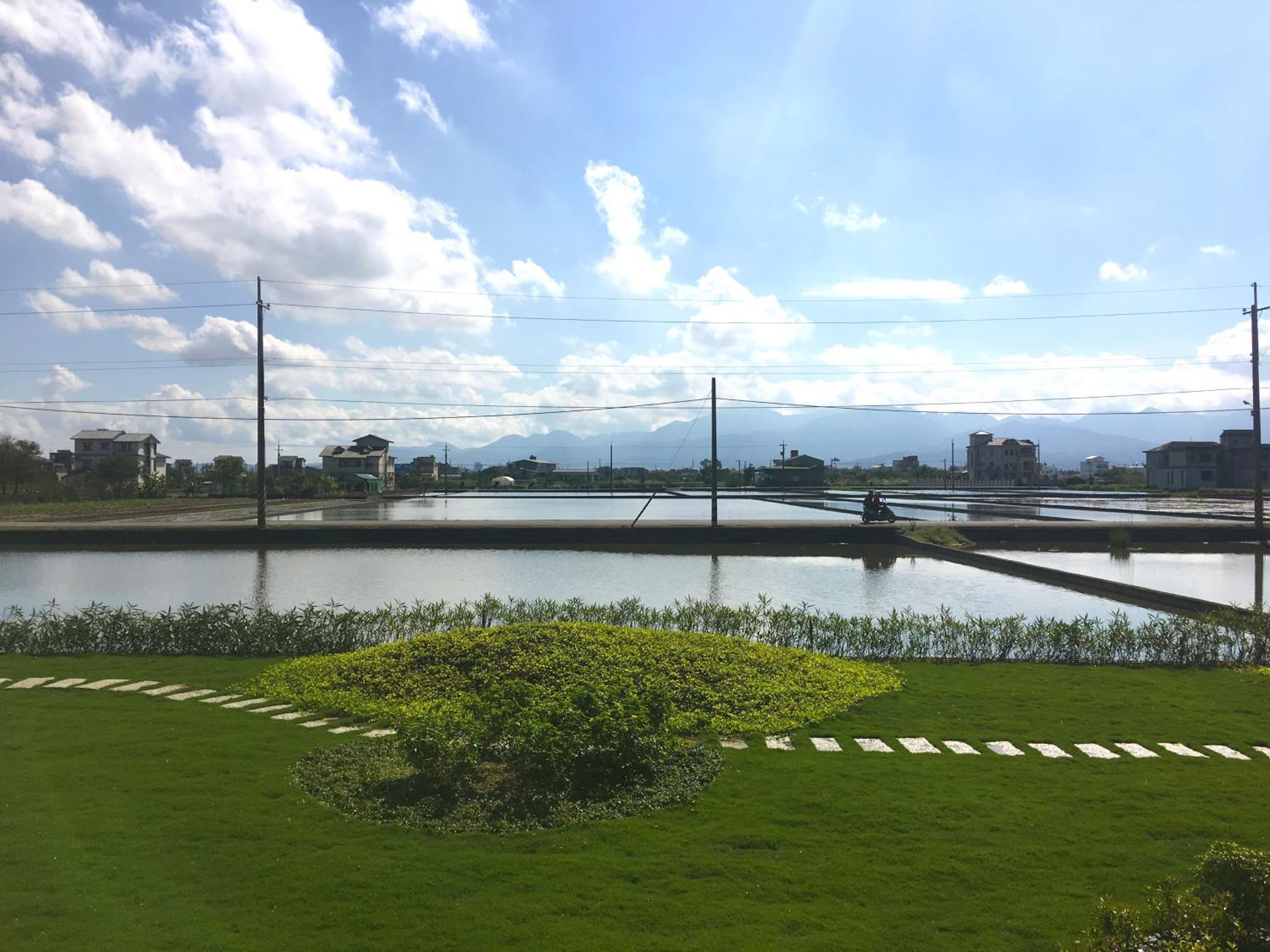 Buluba - Tiao Wang view 5