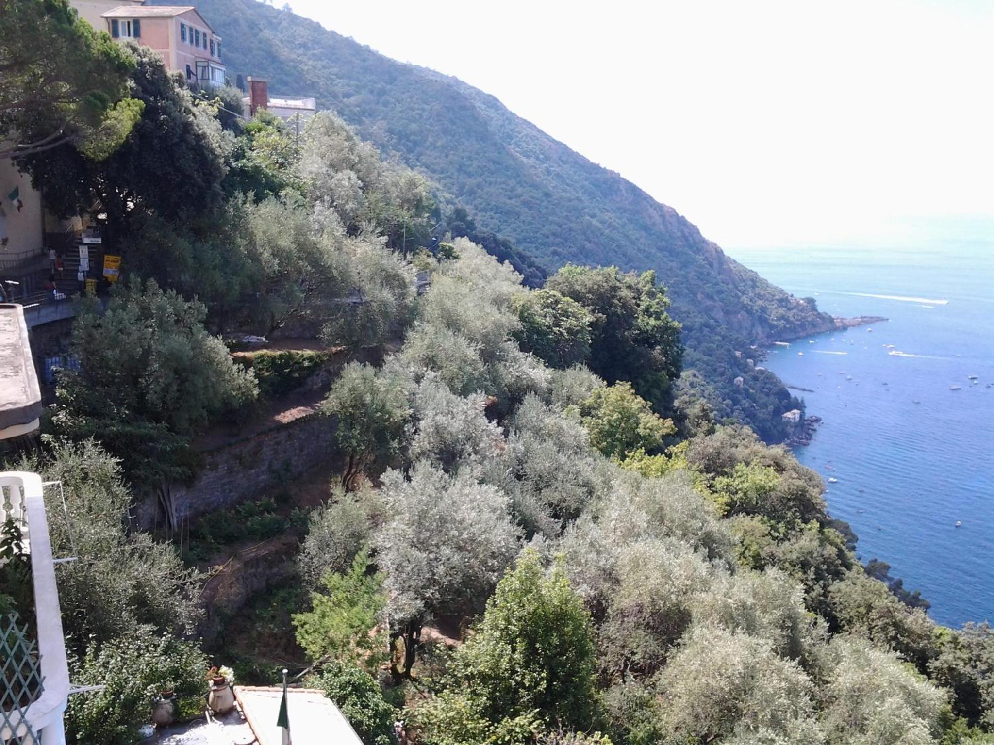 CASA CONSTANZA Pace e Relax in Liguria view 4