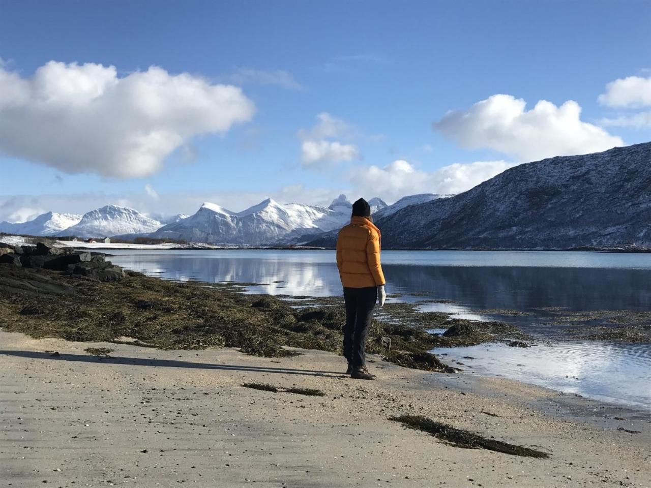 Steigen Lodge Sjøhytter view 4