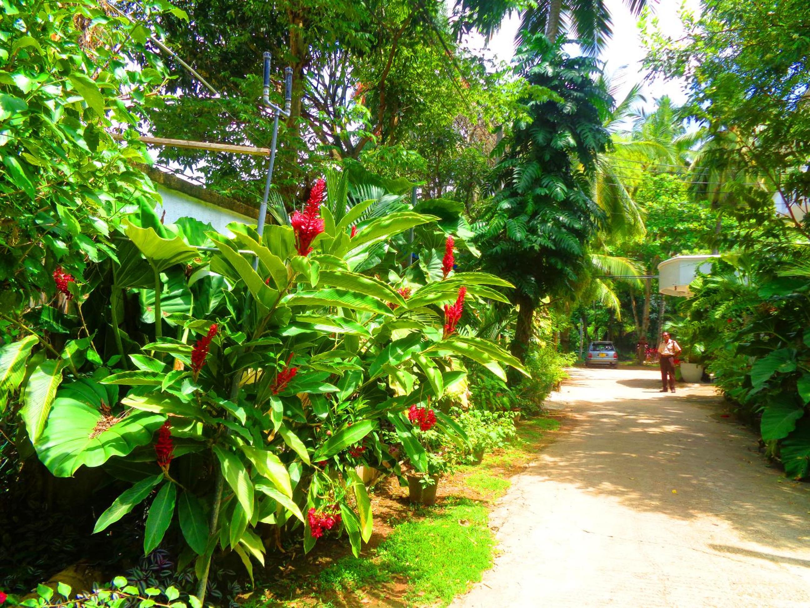 Nooit Gedacht Holiday Resort Unawatuna