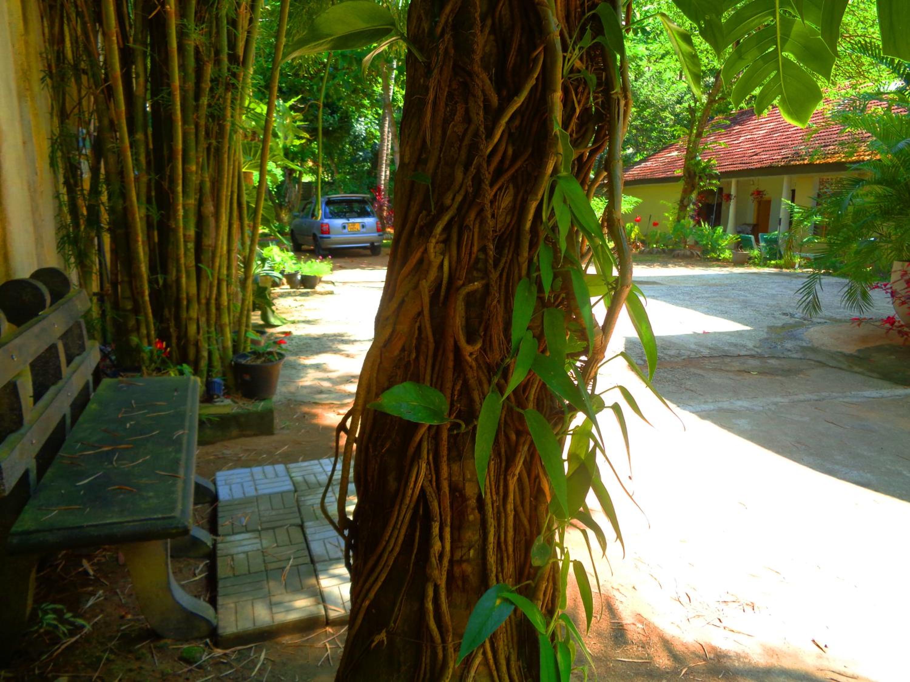 Nooit Gedacht Holiday Resort Unawatuna