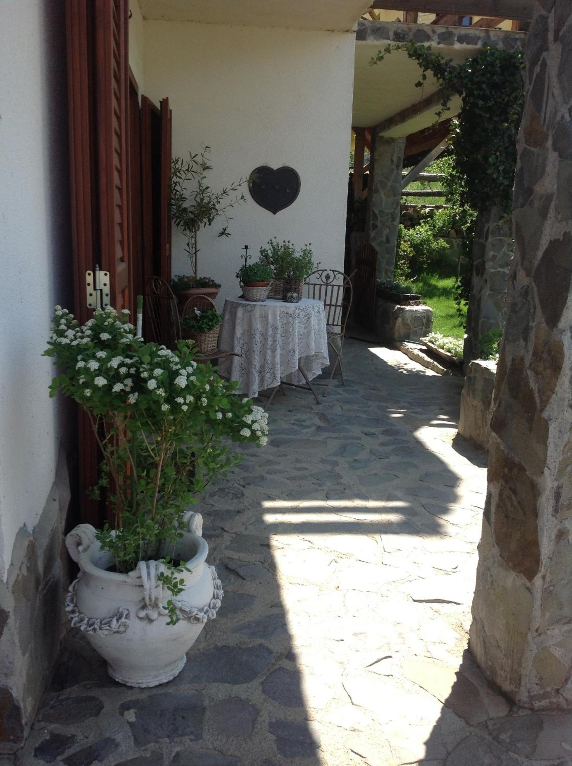 Photo 46