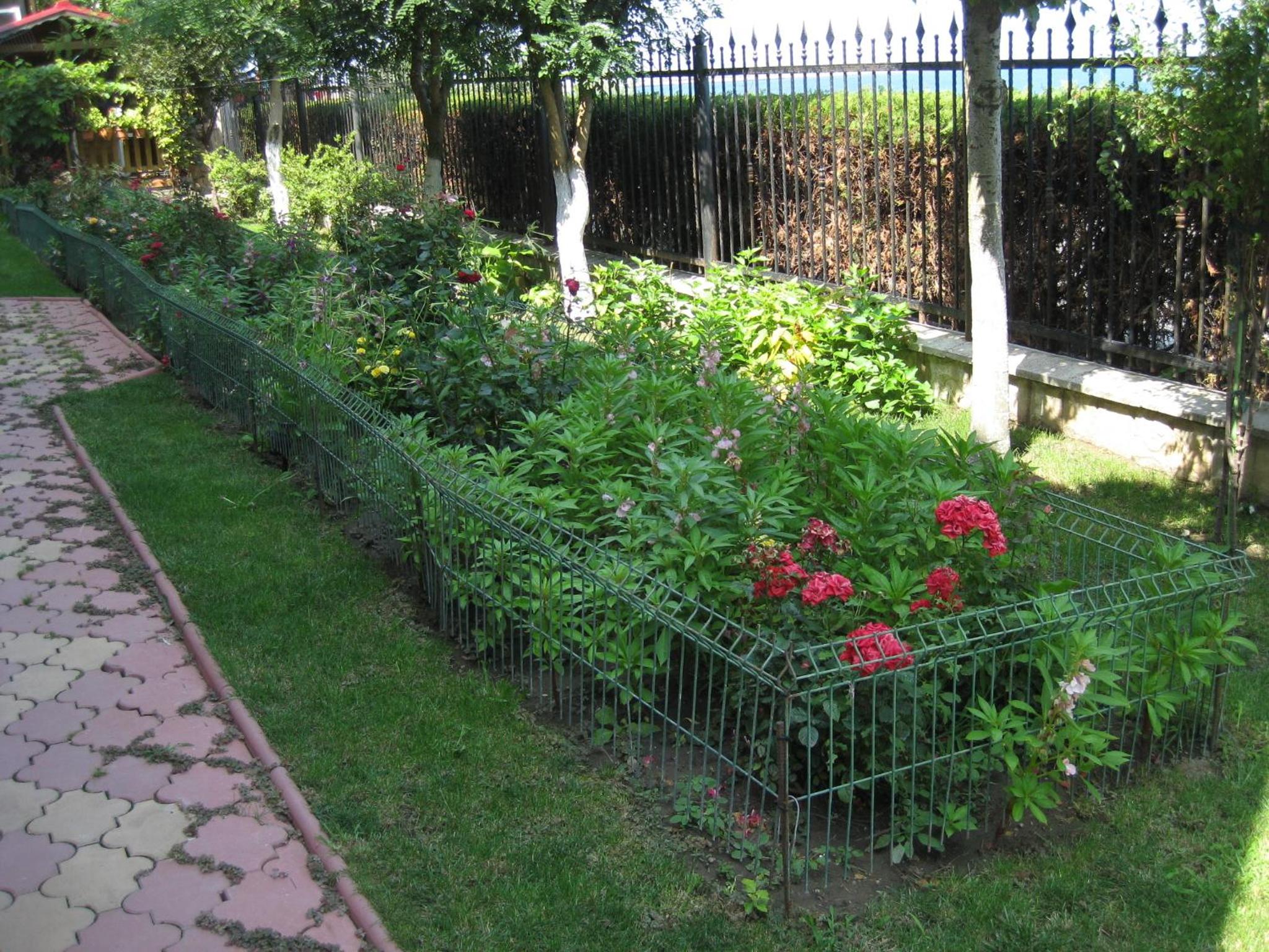 Photo 25