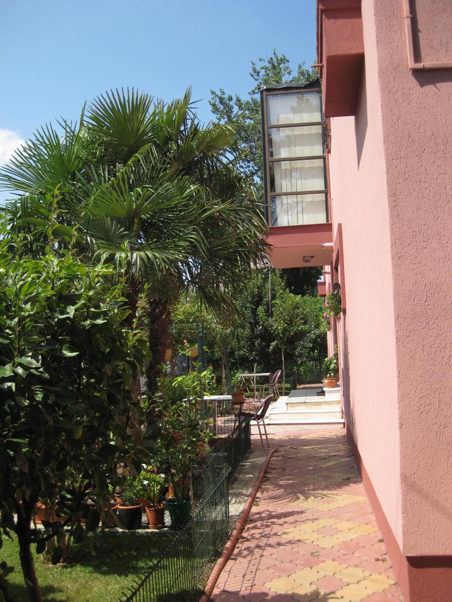 Photo 31