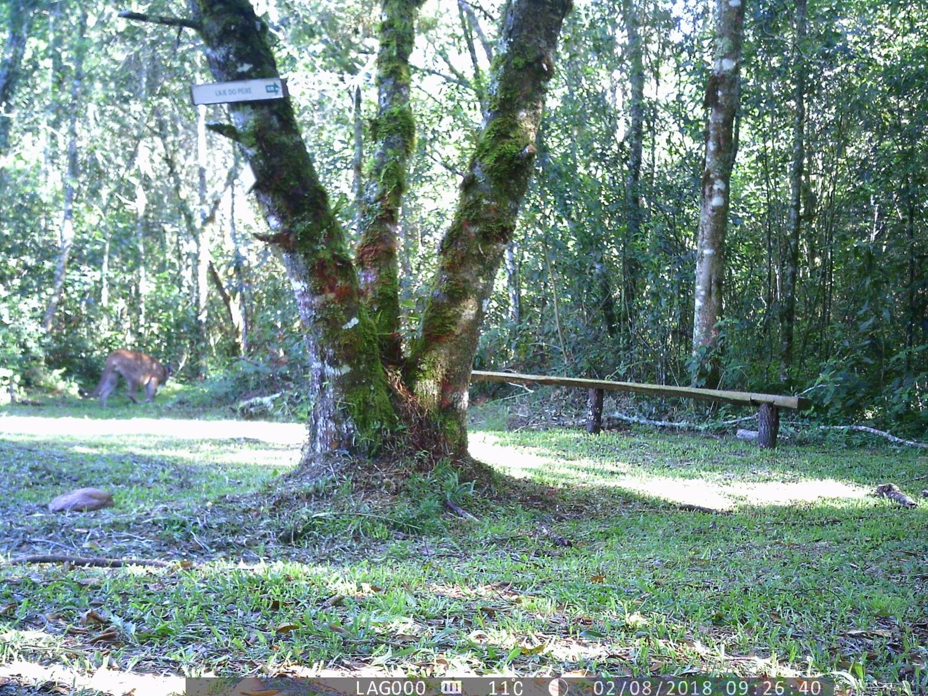Pousada do Morro Verde