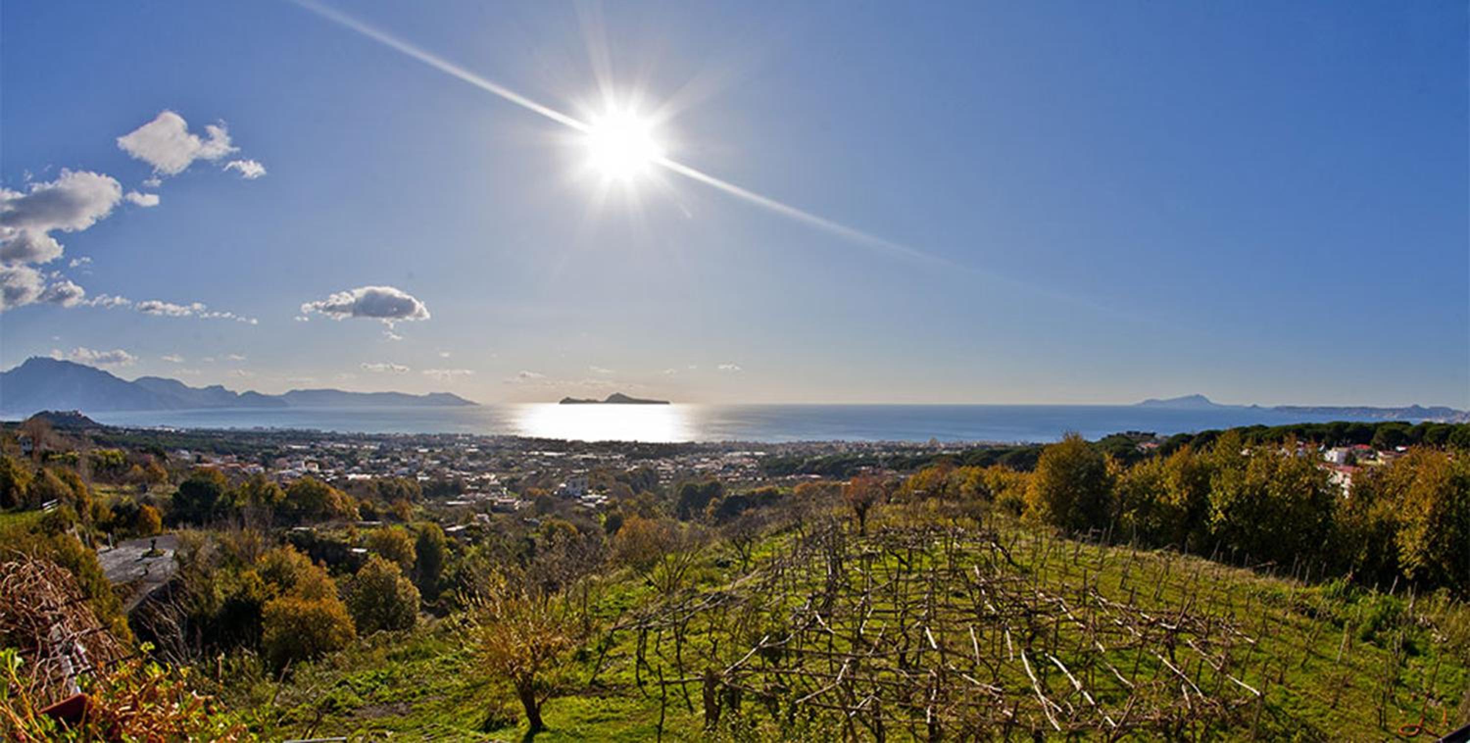Tenuta Le Fornacelle