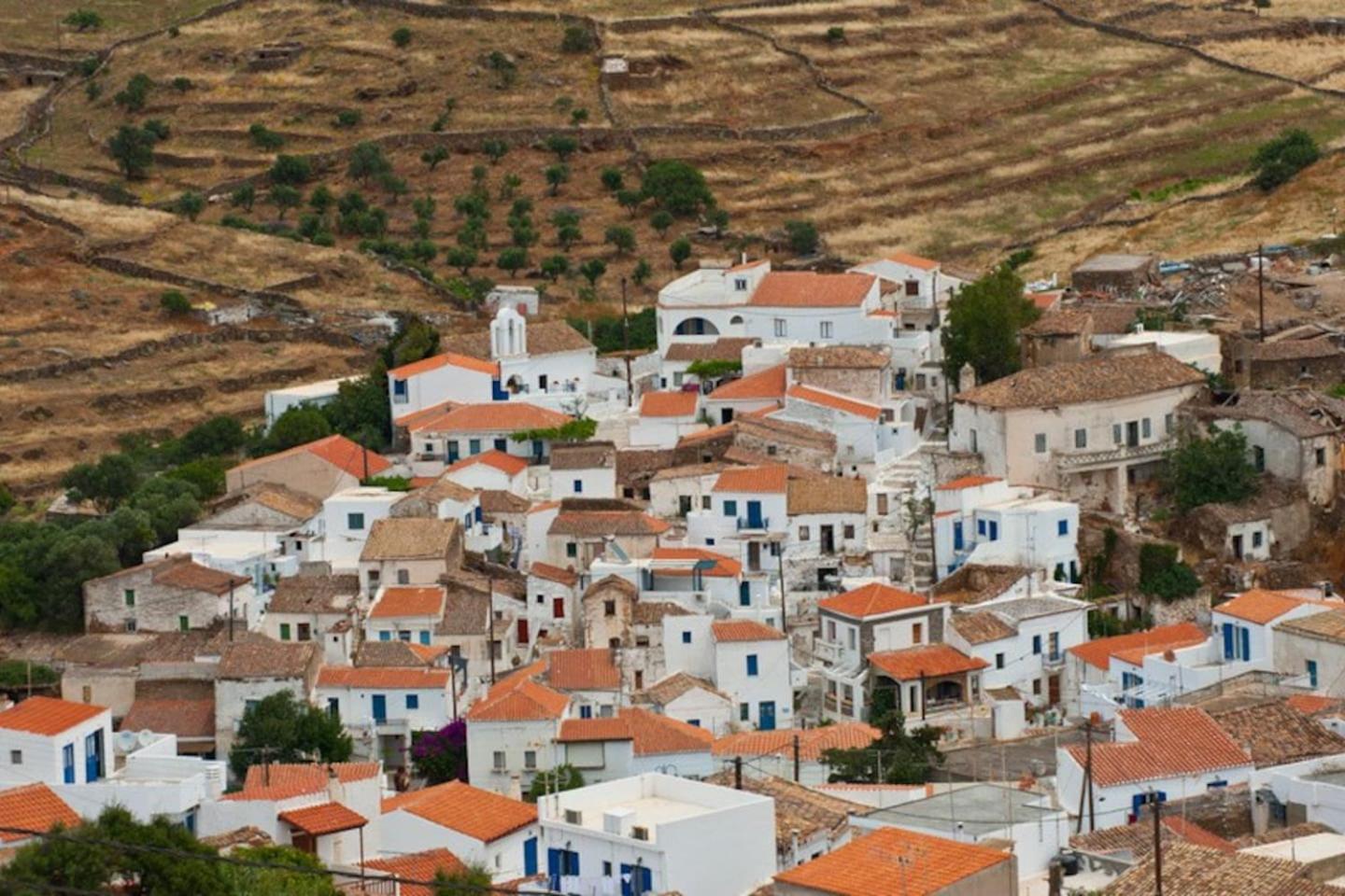 Dryopida House