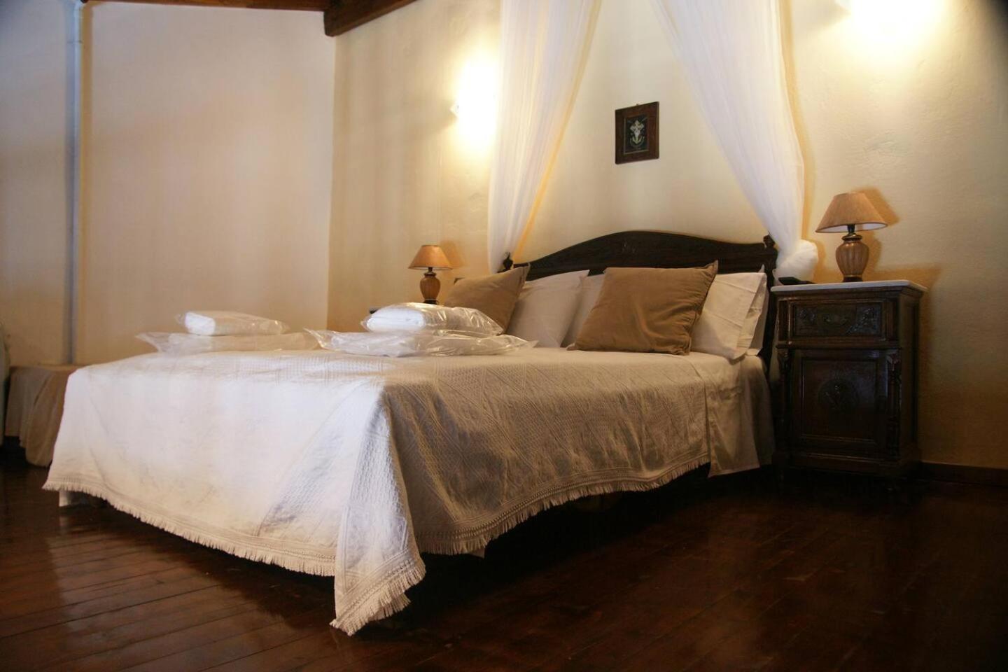 Dryopida House