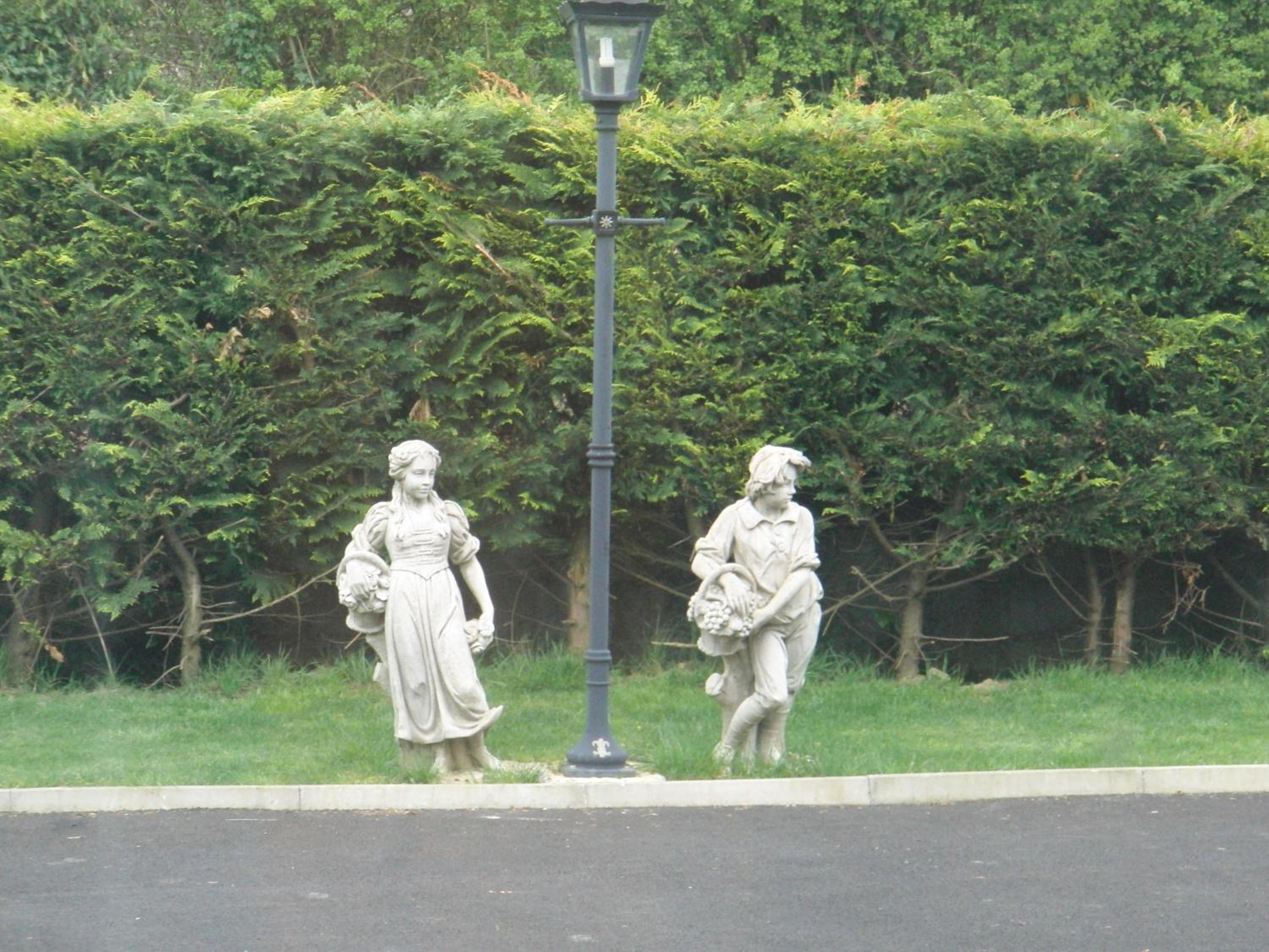 Photo 42