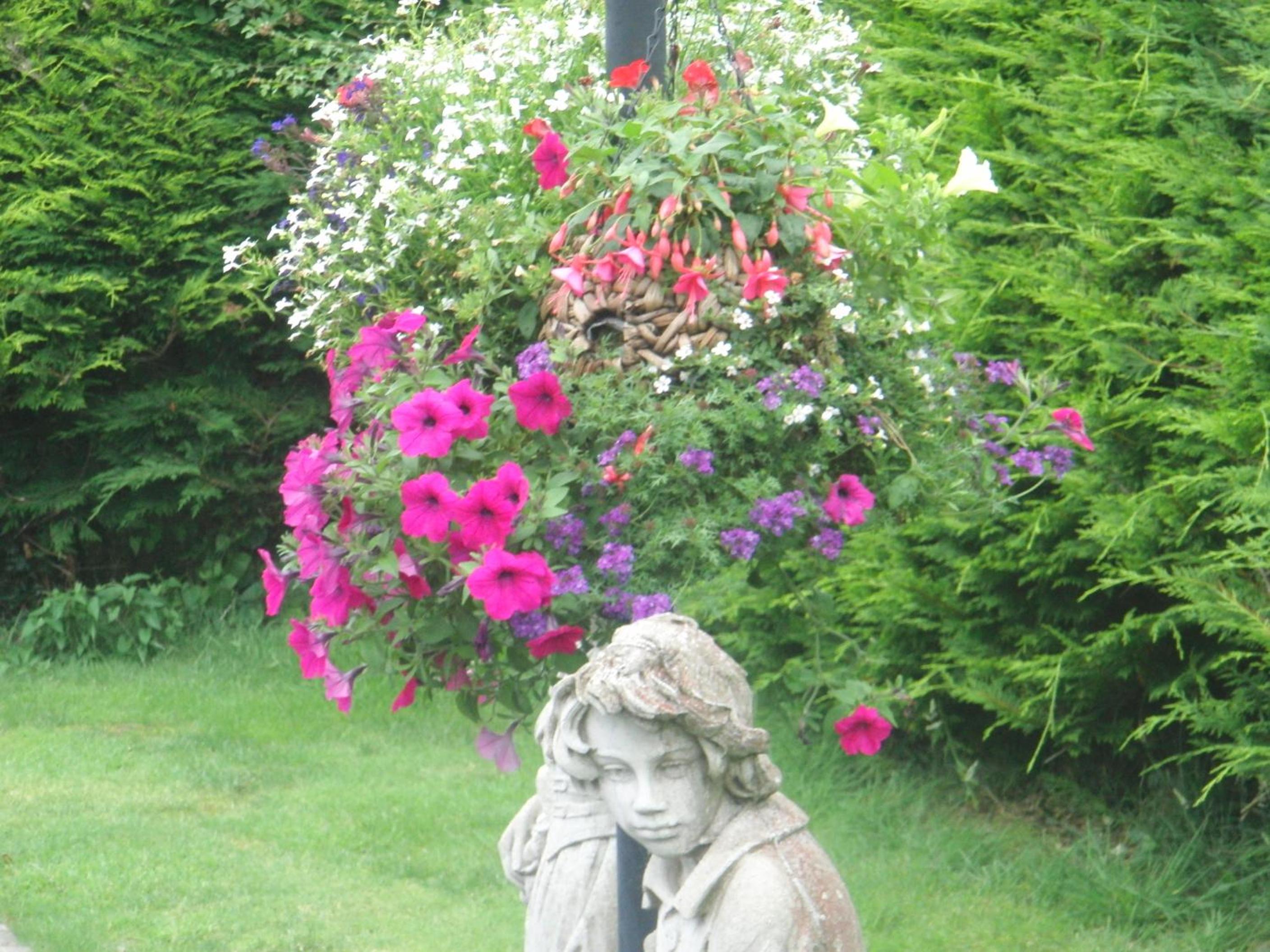 Photo 46