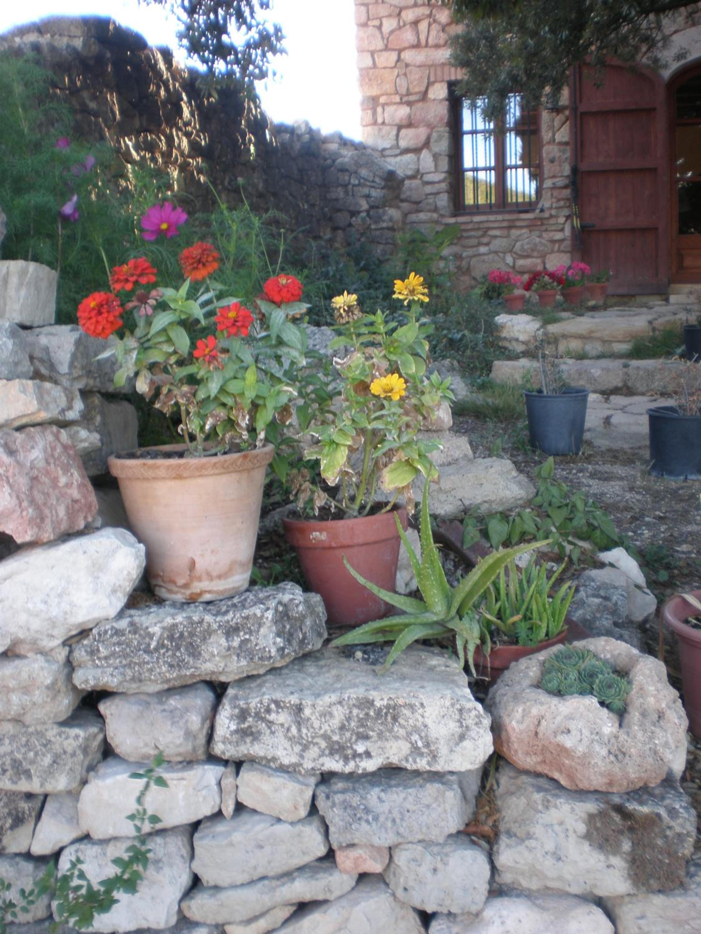 Photo 24