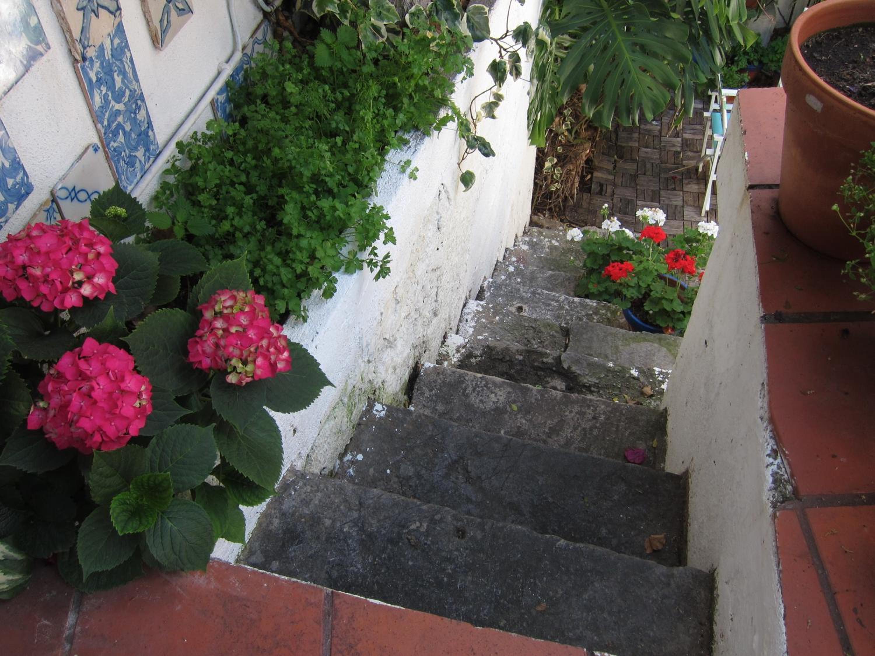 Photo 29