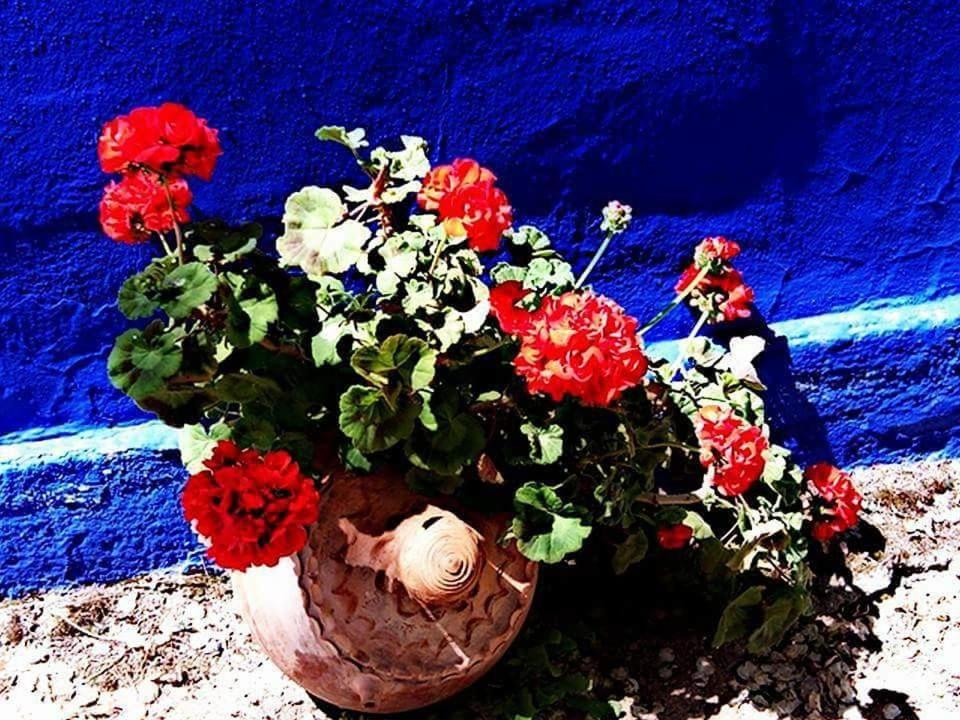Photo 33
