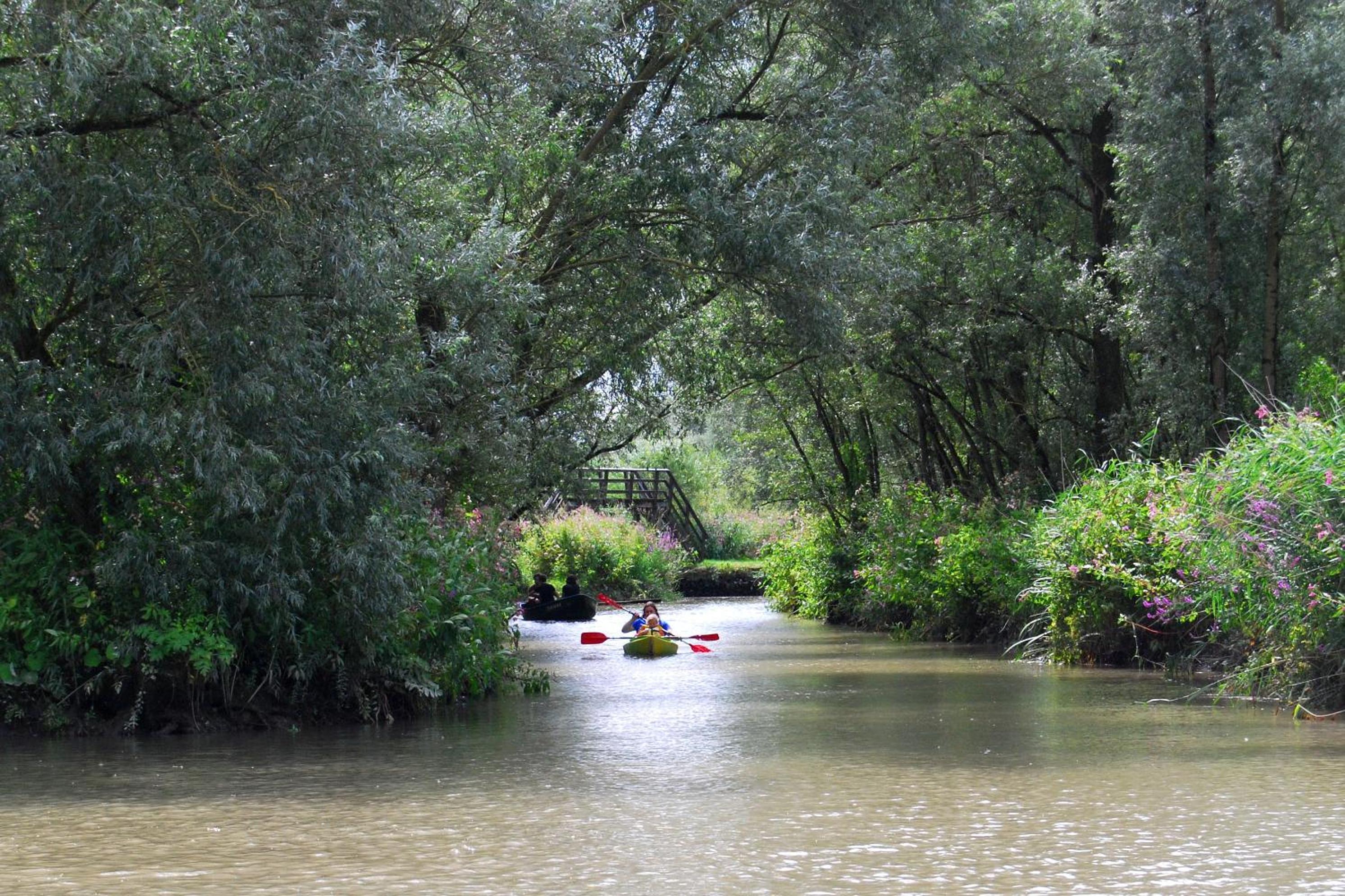 Stayokay Hostel Dordrecht - Nationaal Park De Biesbosch