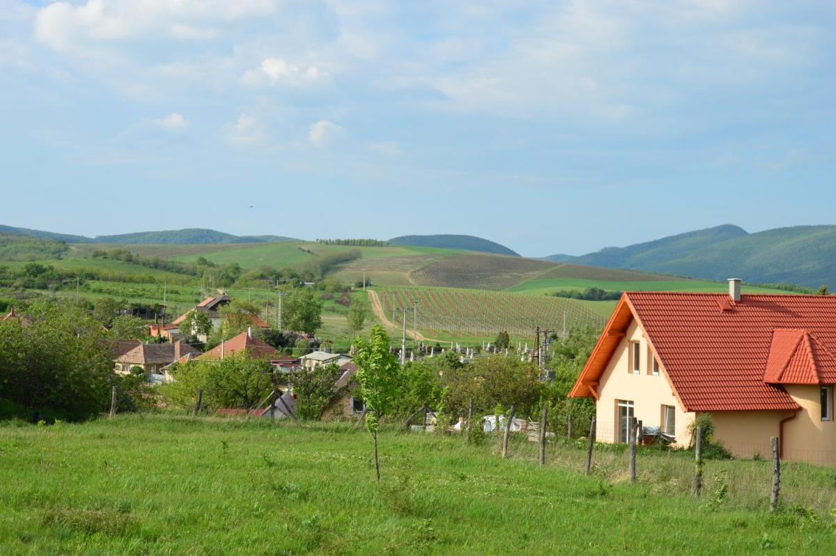 Photo 28