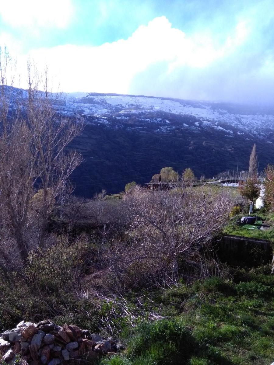 La Locana photo 3
