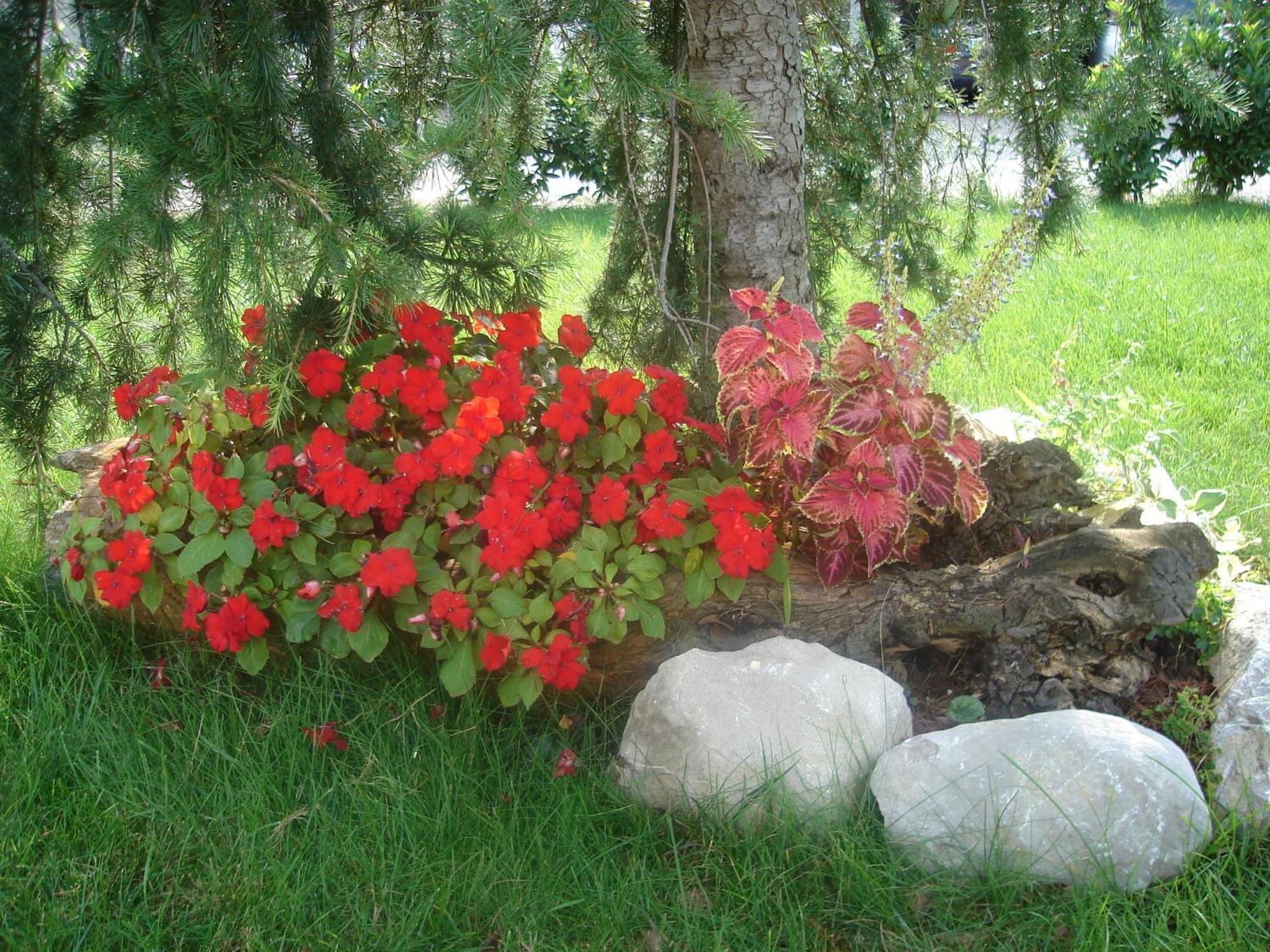 Photo 19