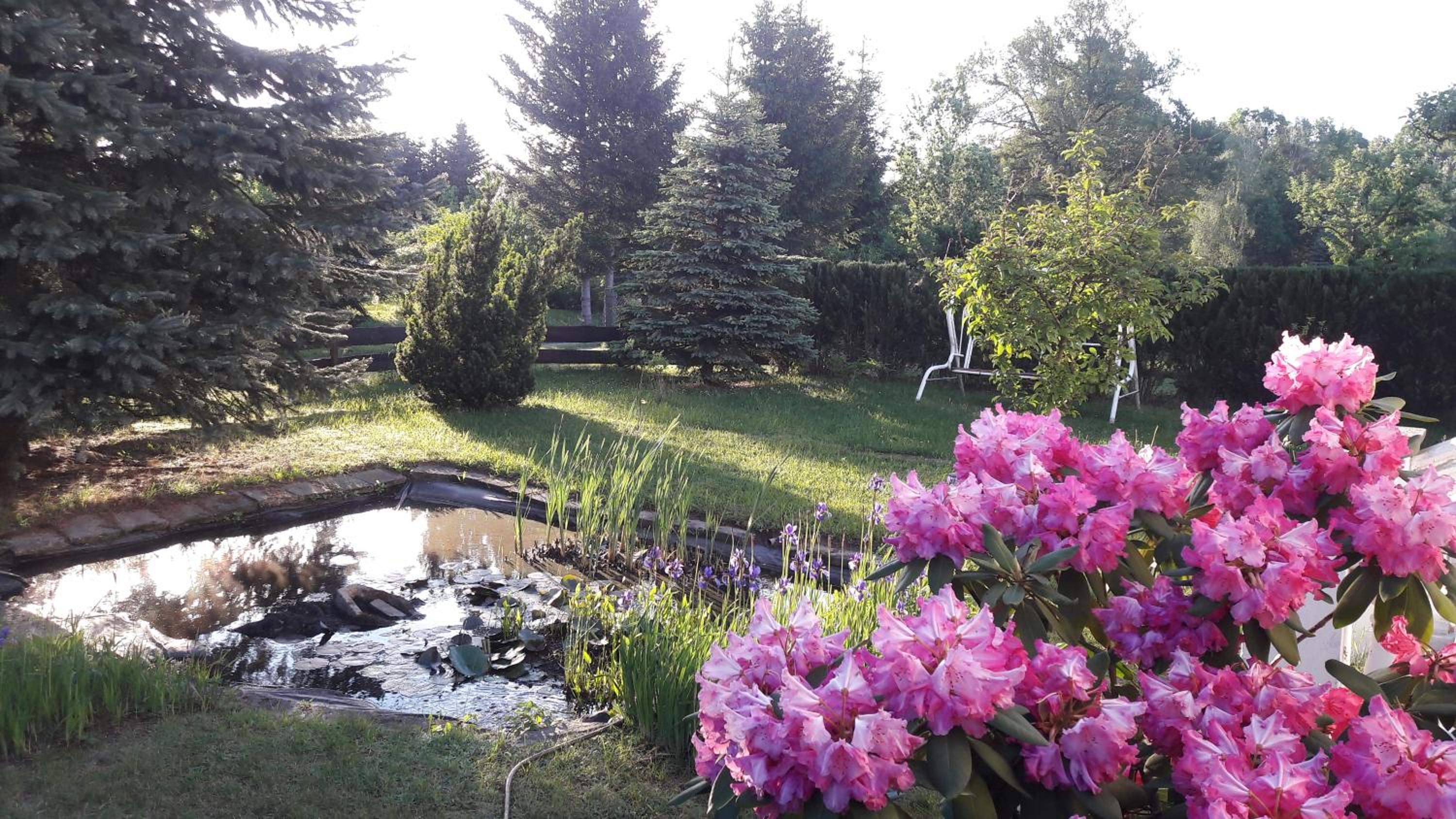 Photo 38