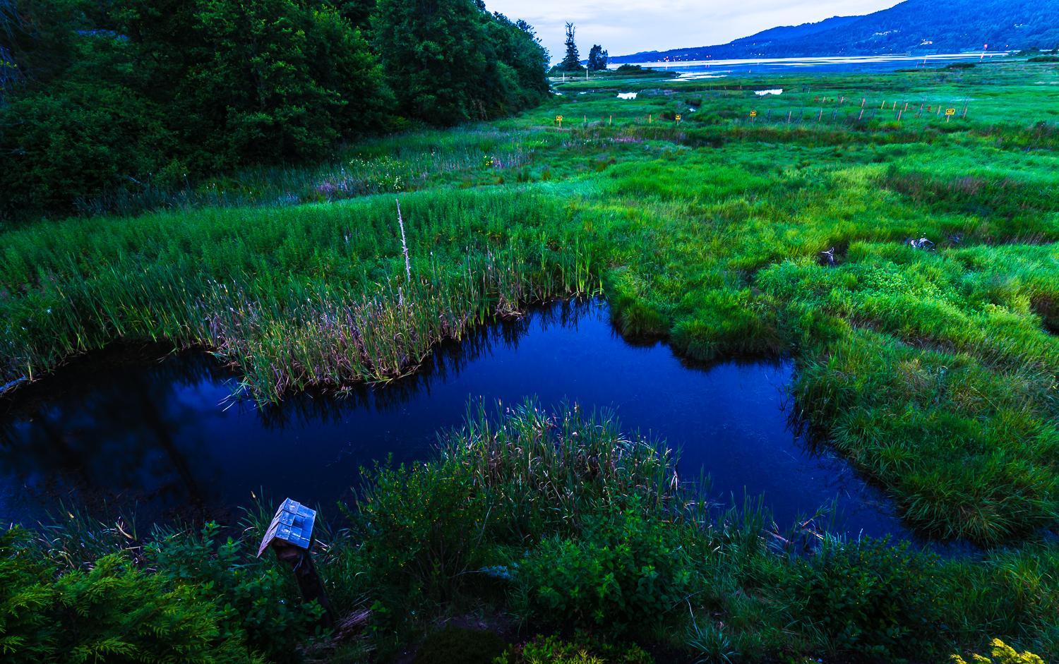 Inn the Estuary