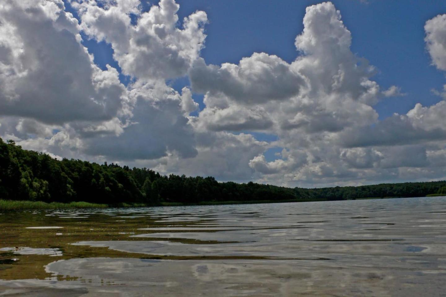 Photo 48
