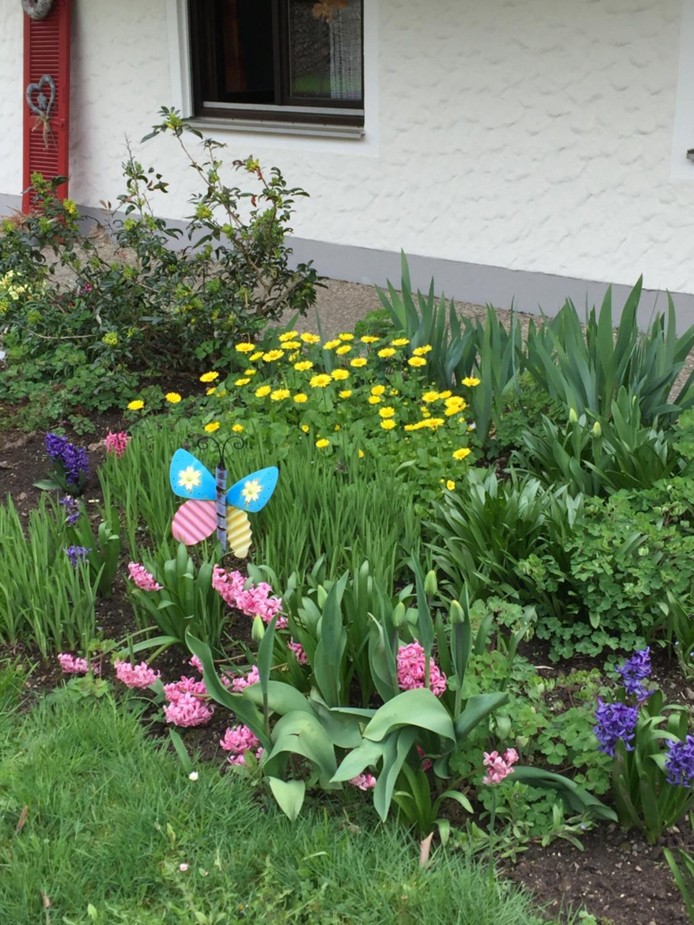 Ferienwohnung Pusteblume
