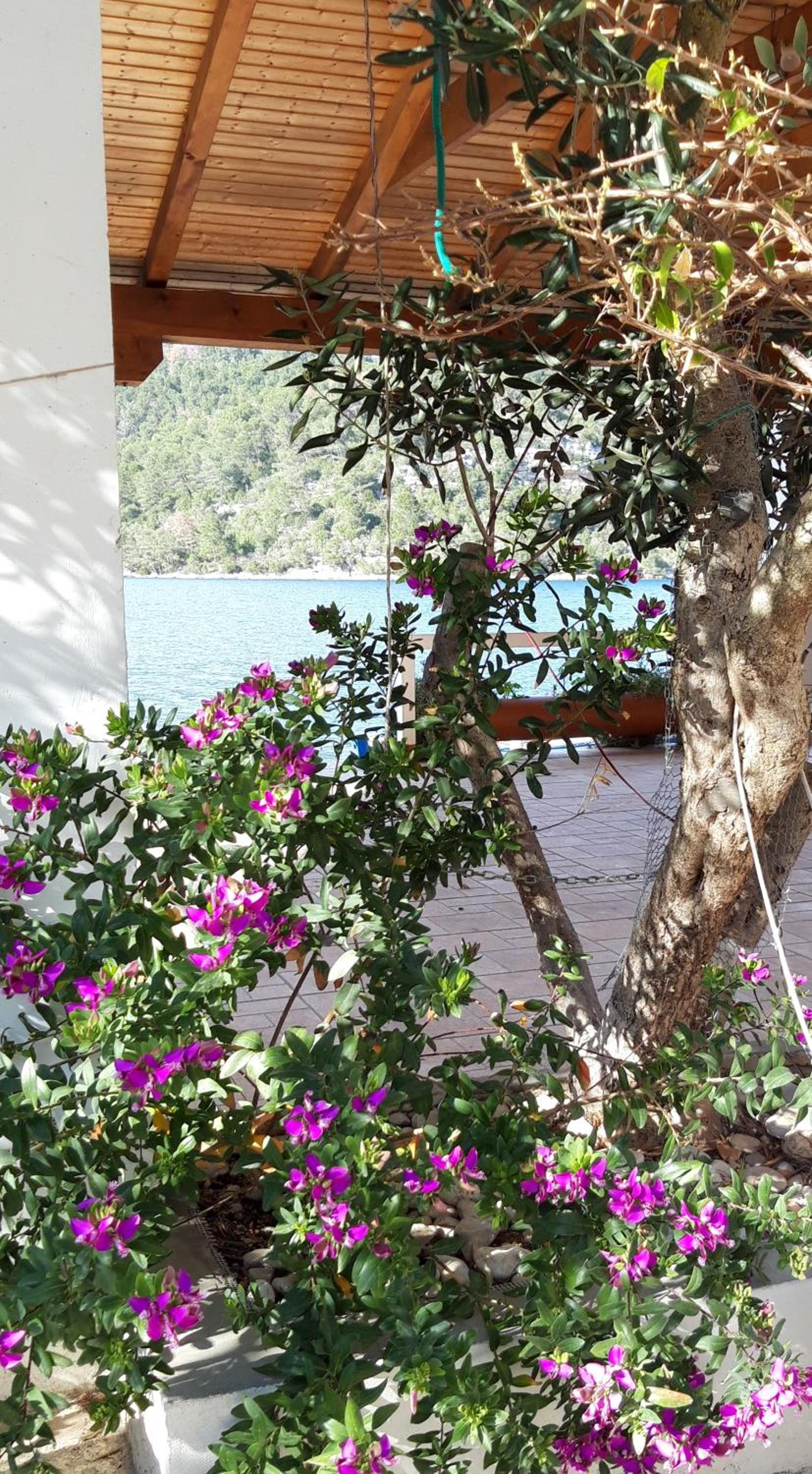 Apartments Sponga