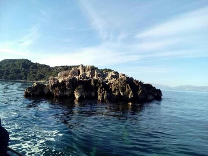 Apartments Sponga
