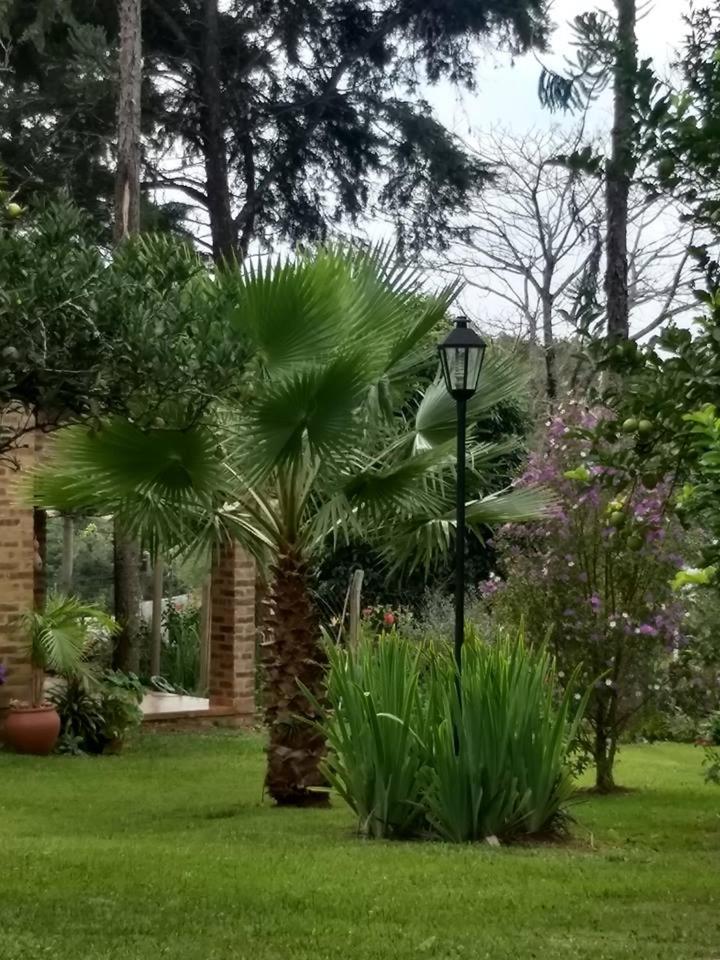 Cabañas Mauer