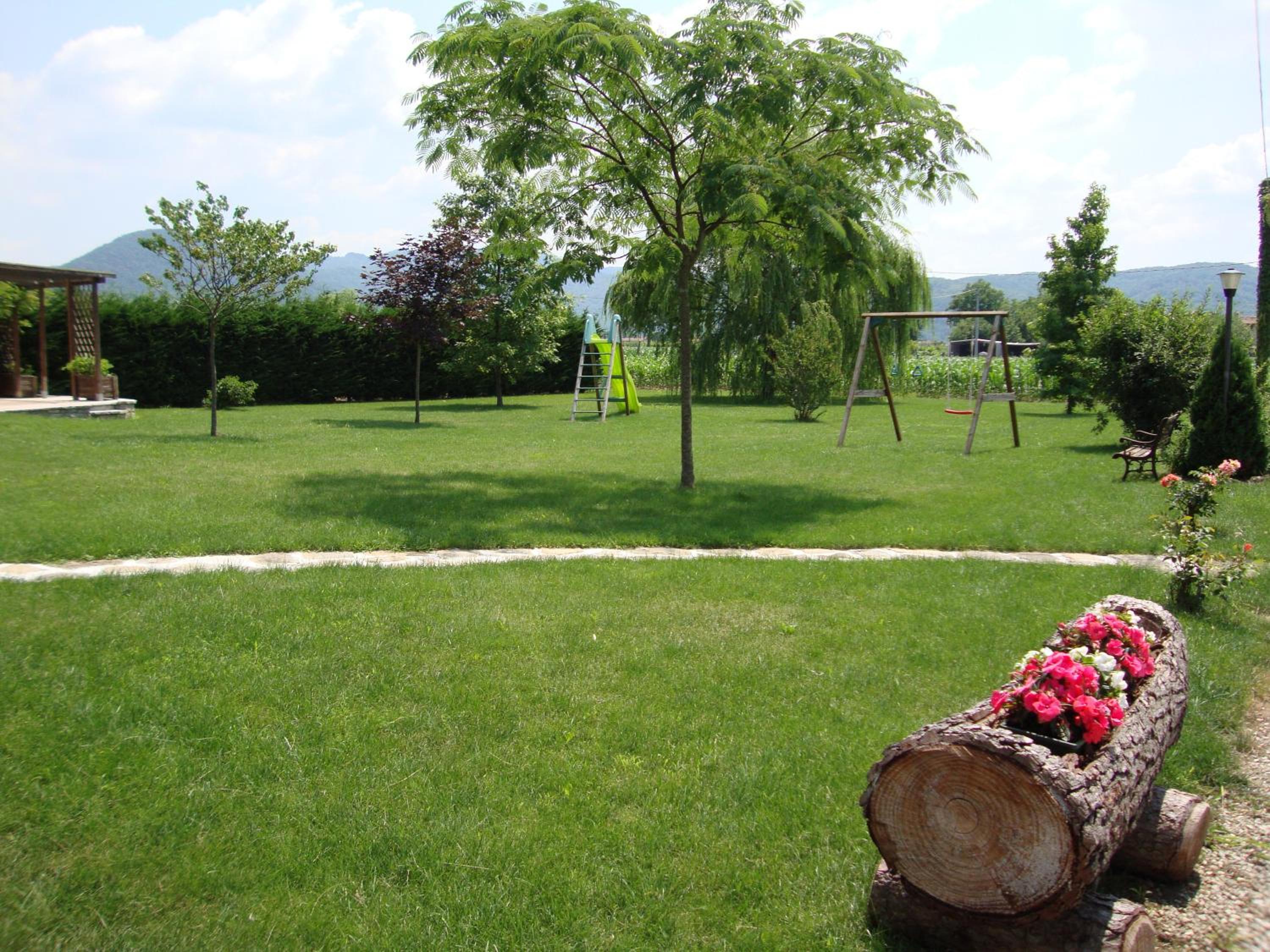 Photo 12