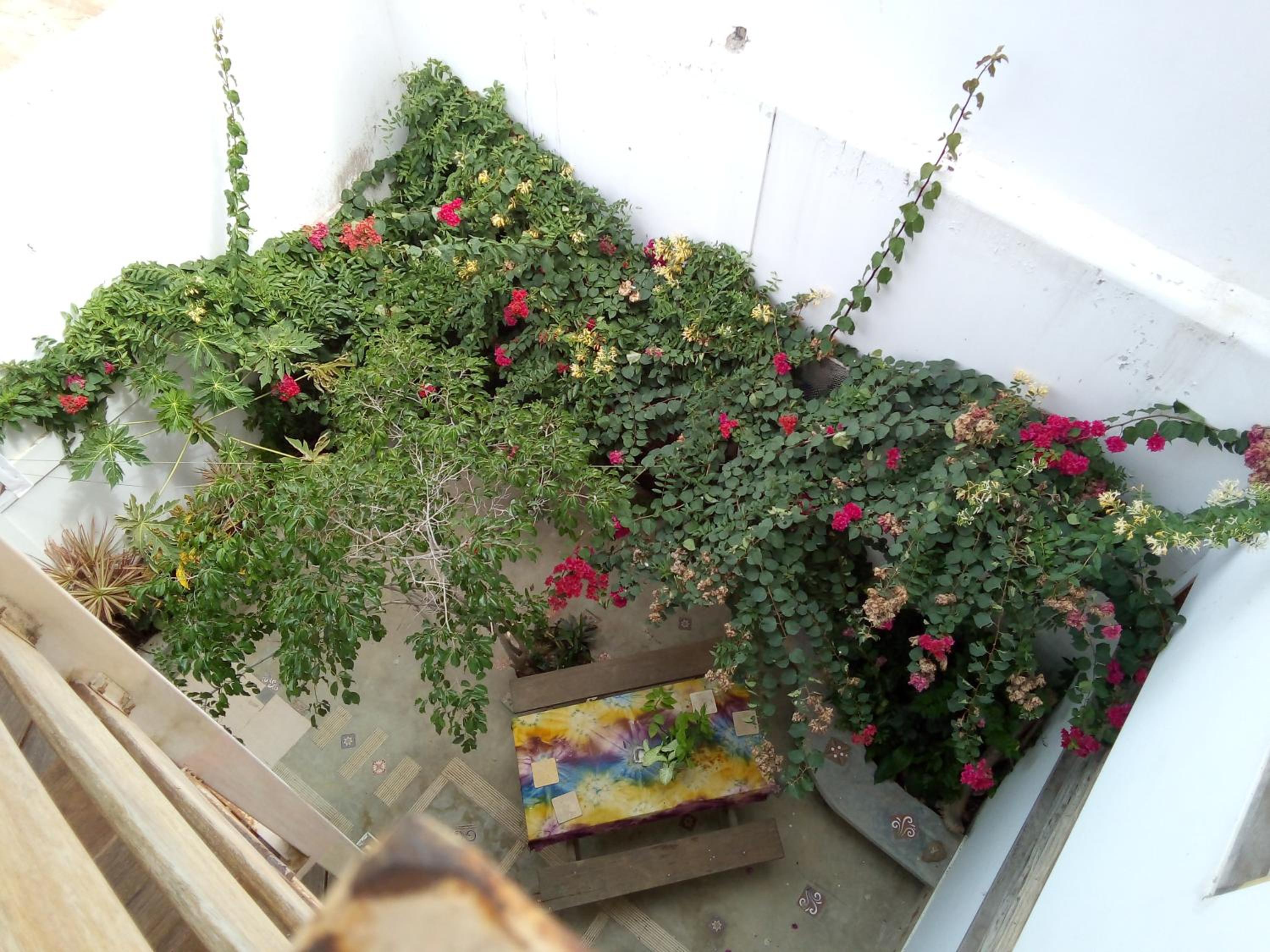 Los Pinos de Zorritos Condominio, photo 35
