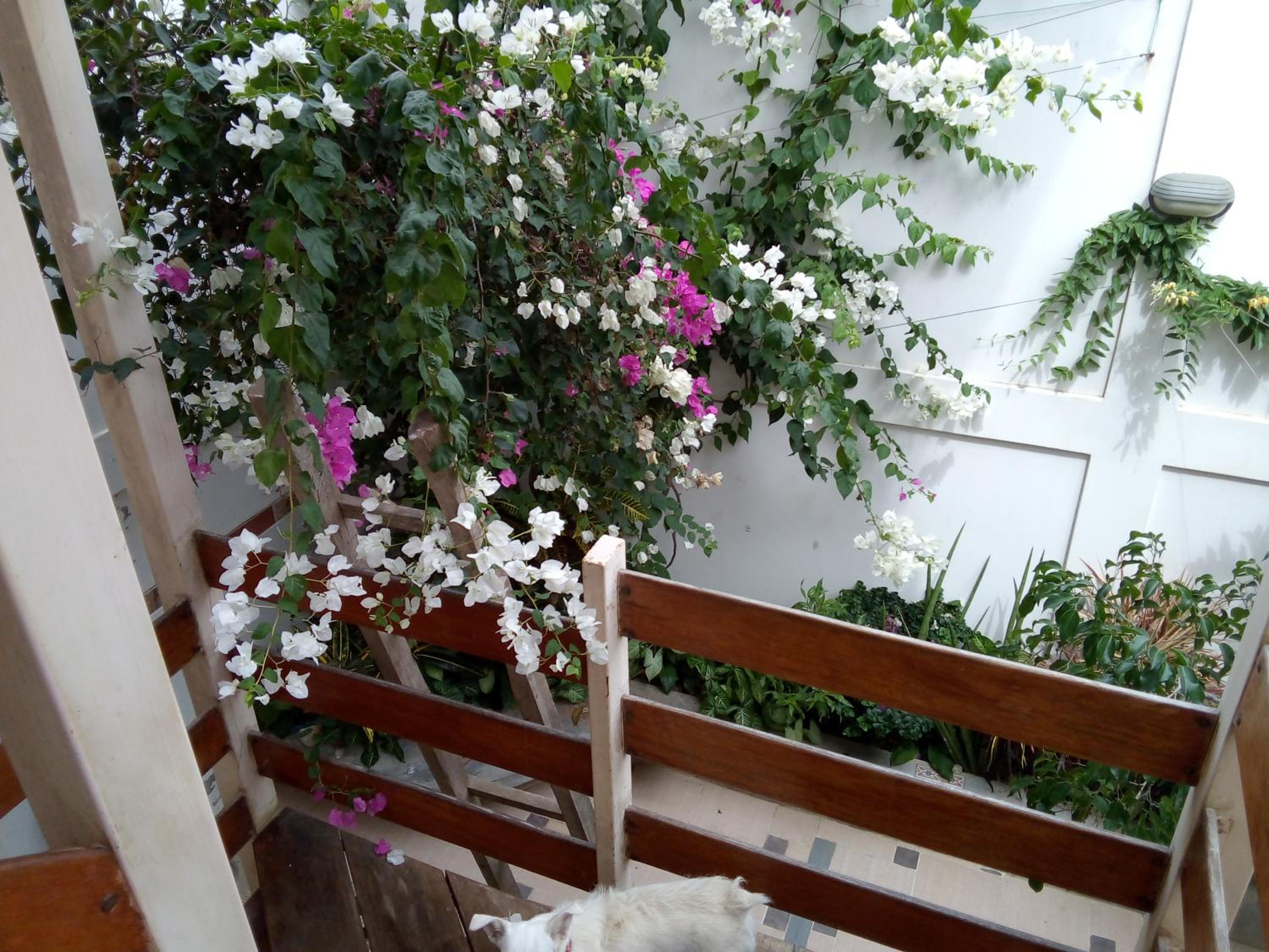 Los Pinos de Zorritos Condominio, photo 41