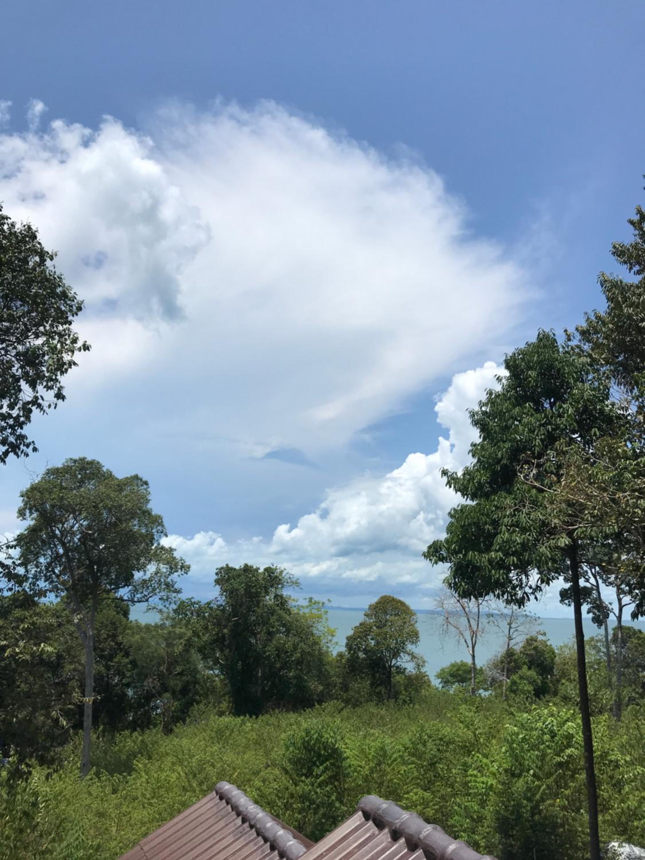 The Small Guest House view 5