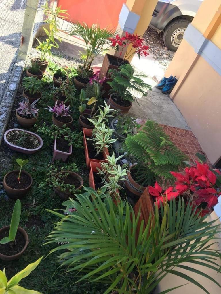 Jireh’s Guests Home