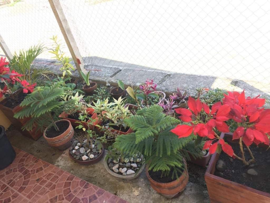 Jireh’s Guests Home