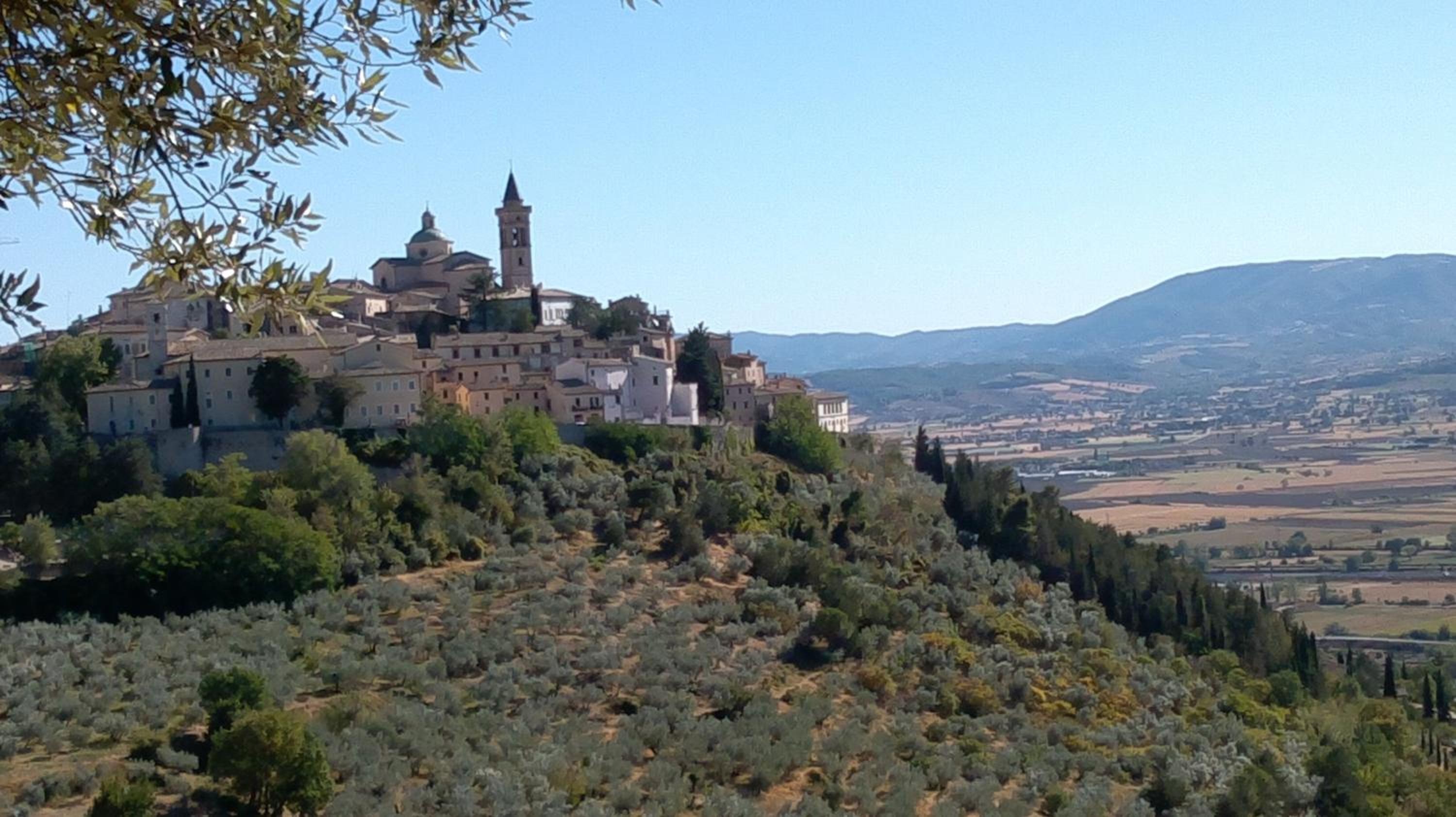 Villa L'Oliveto view 2