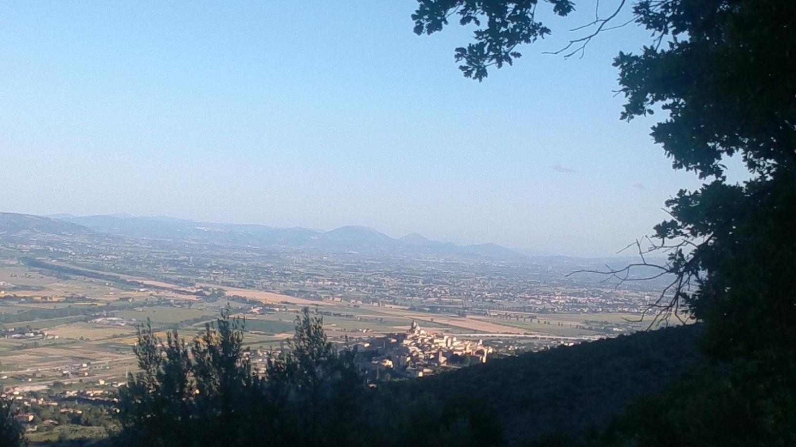 Villa L'Oliveto view 3