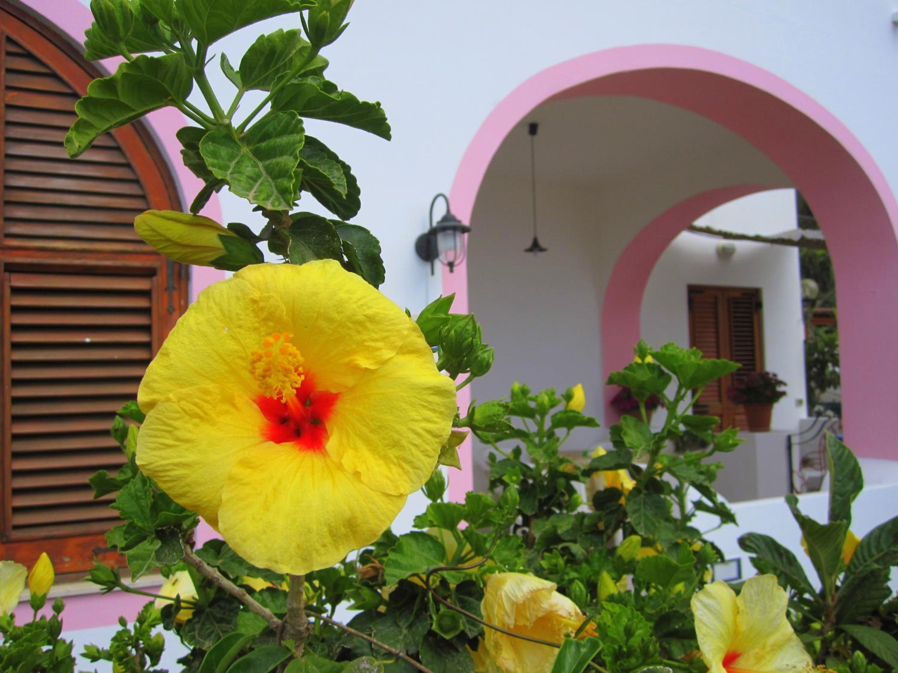 Villa Rosa